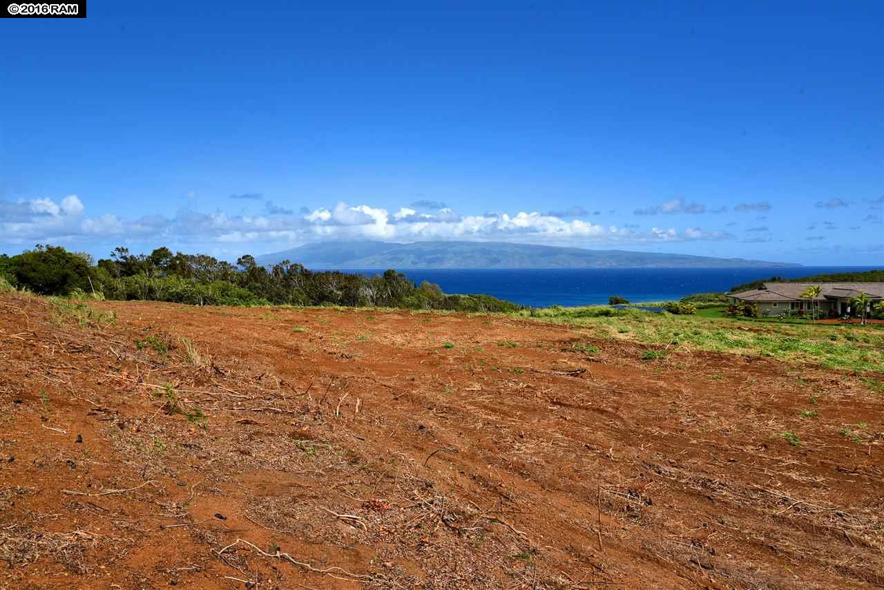 101 Keoawa Pl Honolua Ridge I, # 4 Lahaina, Hi vacant land for sale - photo 14 of 30