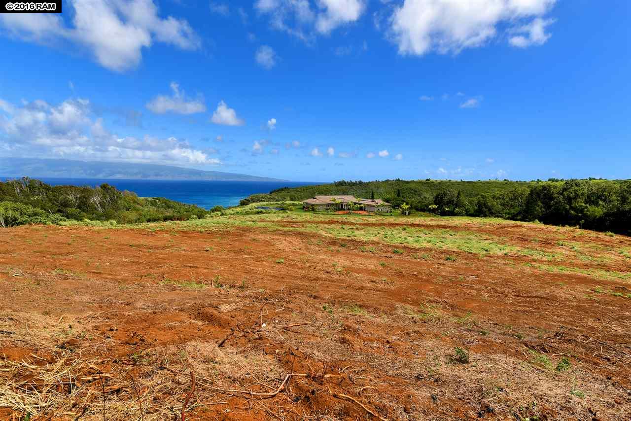 101 Keoawa Pl Honolua Ridge I, # 4 Lahaina, Hi vacant land for sale - photo 18 of 30