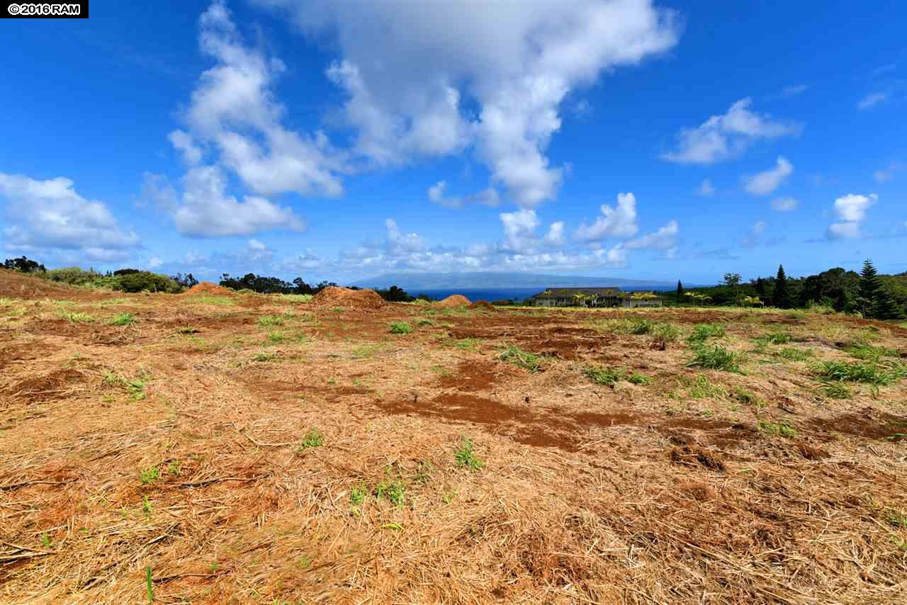 101 Keoawa Pl Honolua Ridge I, # 4 Lahaina, Hi vacant land for sale - photo 19 of 30