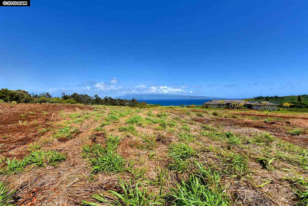 101 Keoawa Pl Honolua Ridge I, # 4 Lahaina, Hi vacant land for sale - photo 10 of 30