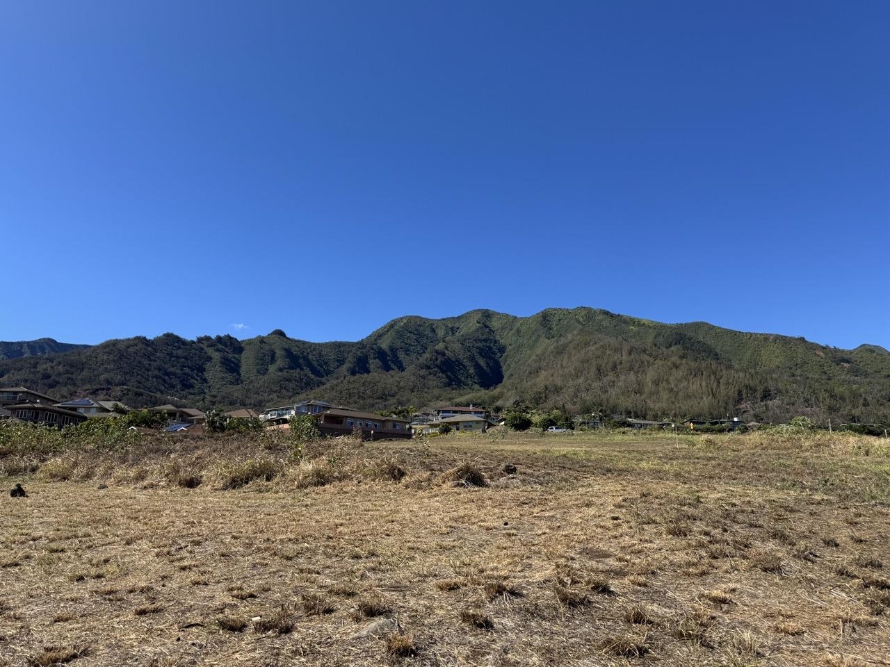 101 Kiha Pl Lot 41 Wailuku, Hi vacant land for sale - photo 4 of 19