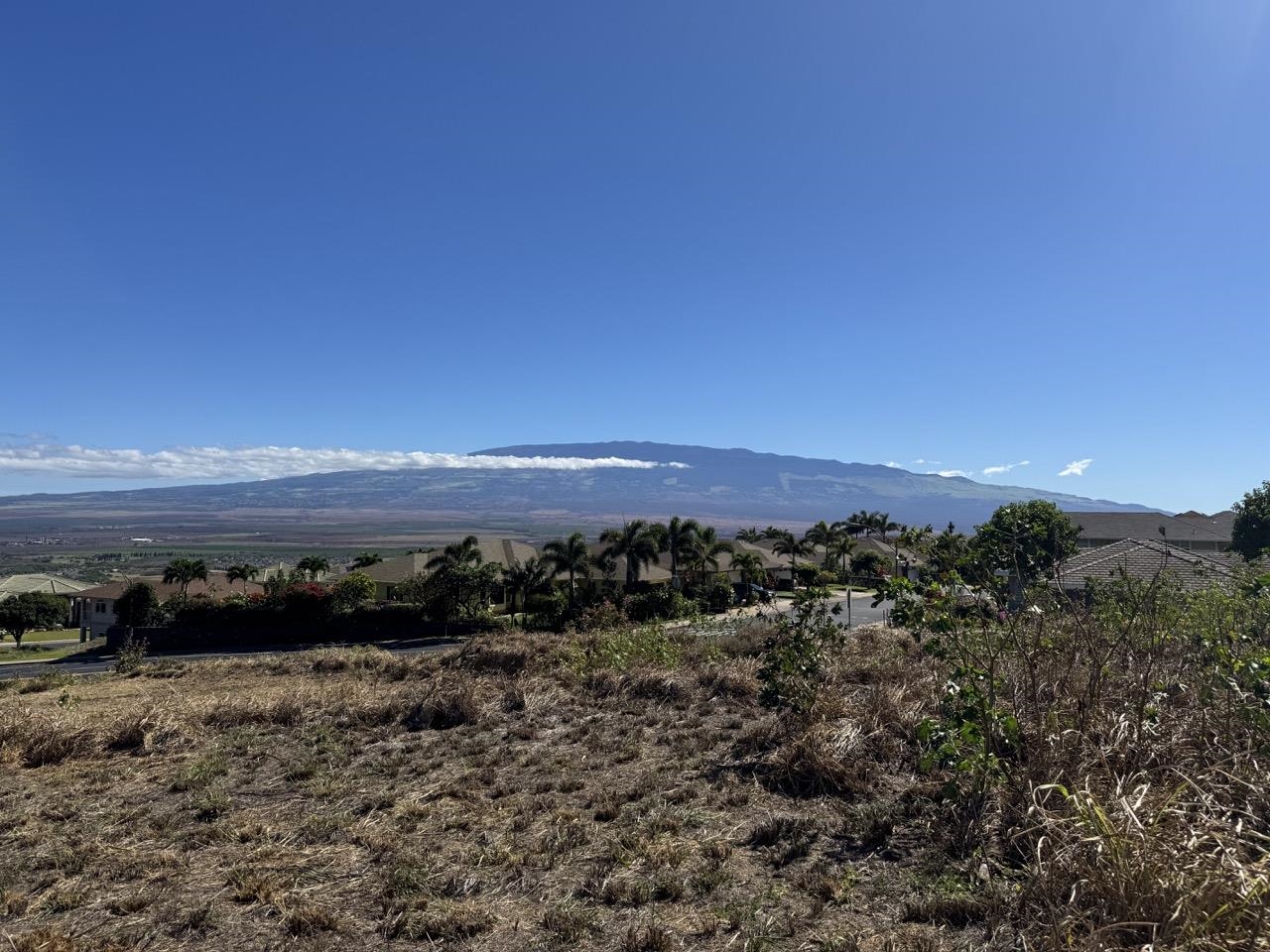 101 Kiha Pl Lot 41 Wailuku, Hi vacant land for sale - photo 7 of 19