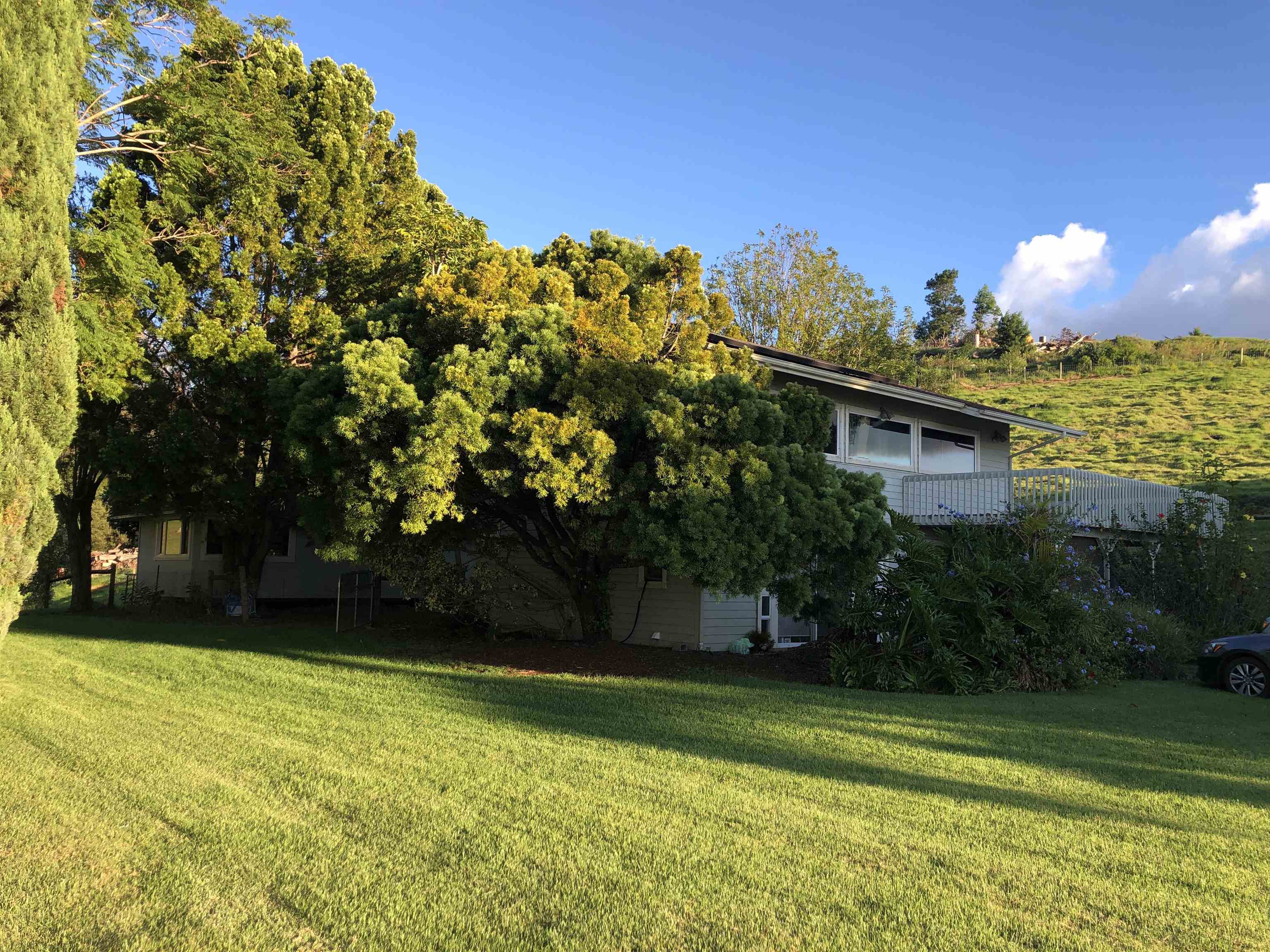 101  Makanoe Pl , Makawao/Olinda/Haliimaile home - photo 7 of 30