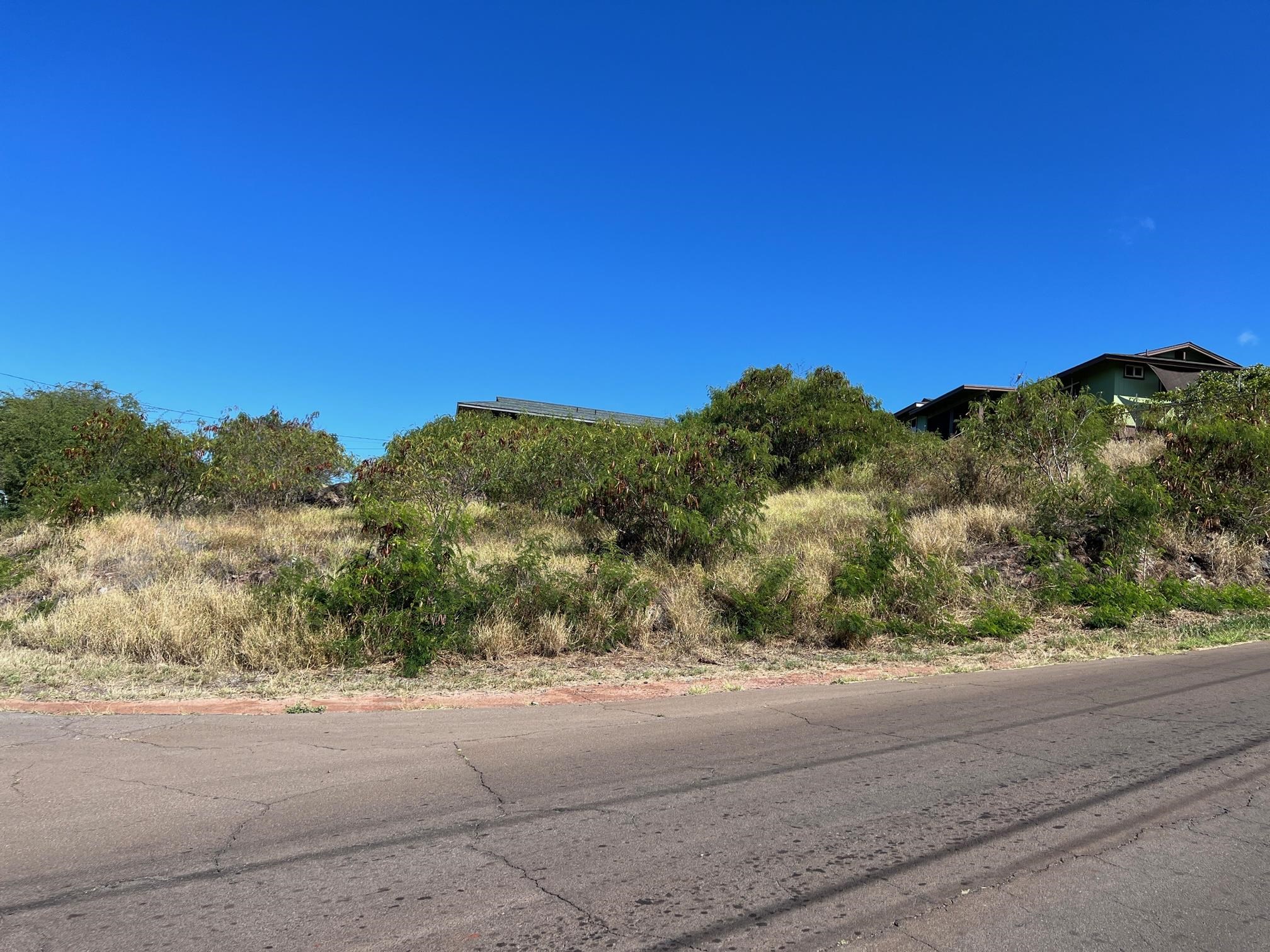 1015 Poko Pl  Kaunakakai, Hi vacant land for sale - photo 2 of 6