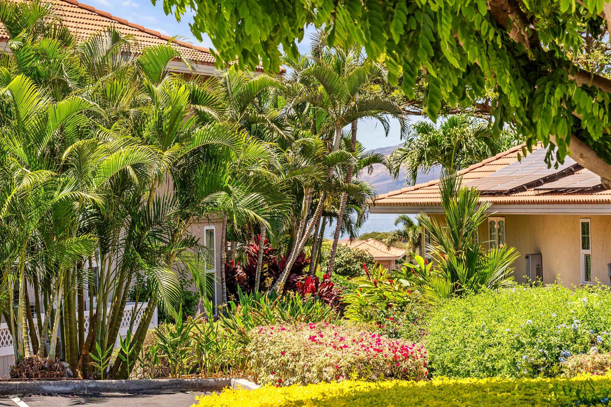 Hokulani Golf Villas condo # 38, Kihei, Hawaii - photo 30 of 50