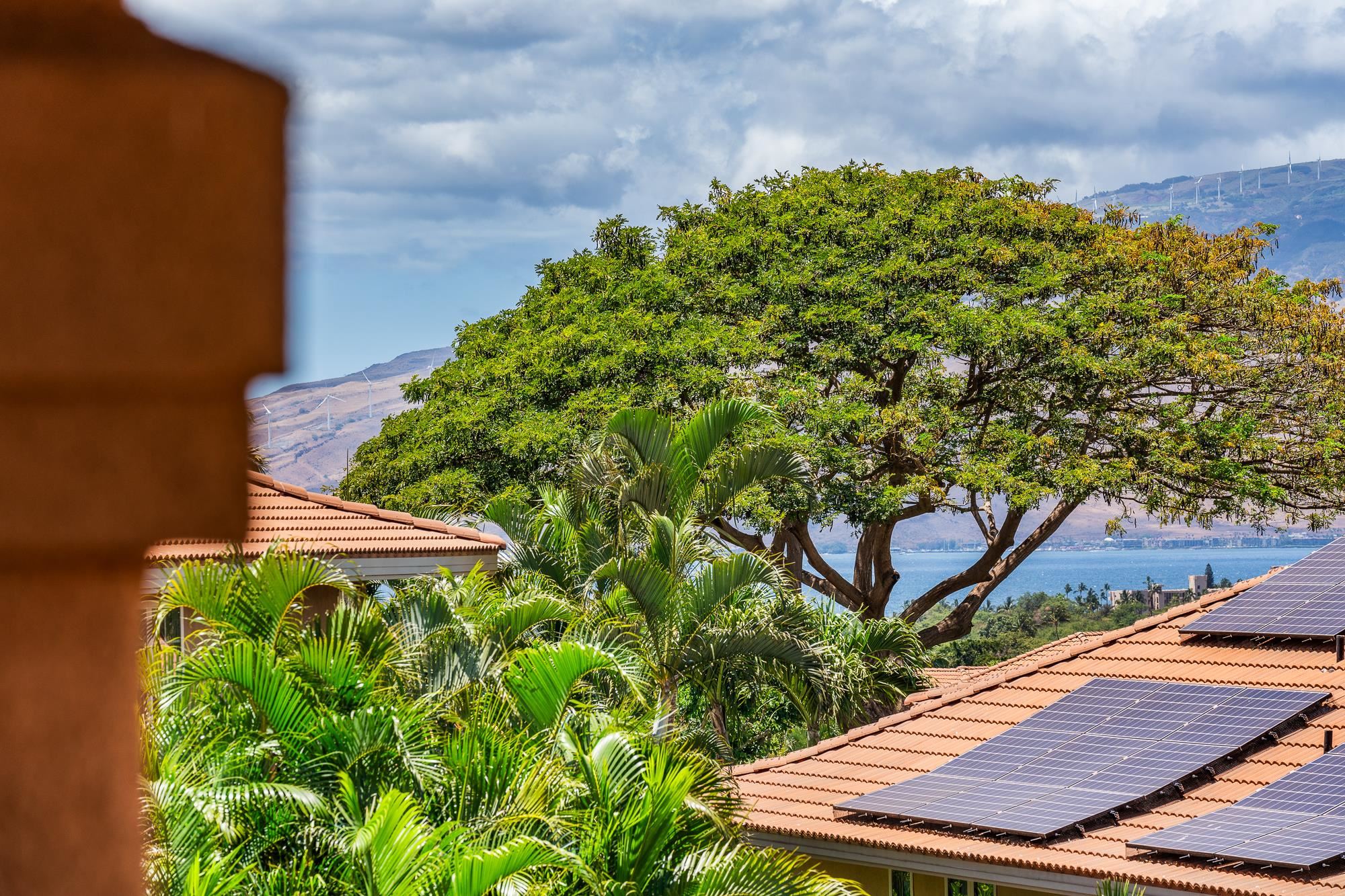 Hokulani Golf Villas condo # 38, Kihei, Hawaii - photo 48 of 50