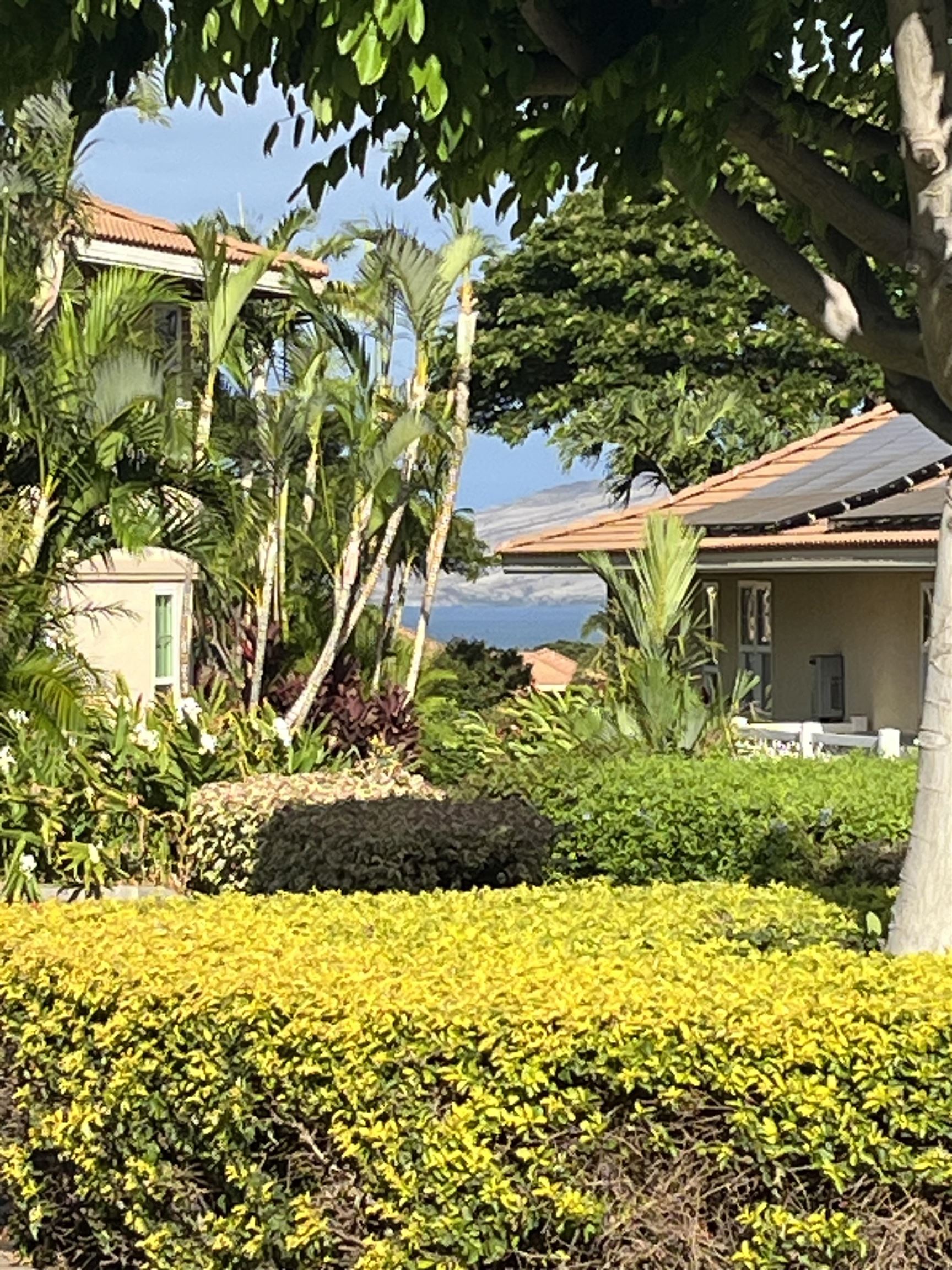 102  Umeke St Hokulani Golf Villas, Kihei home - photo 41 of 50