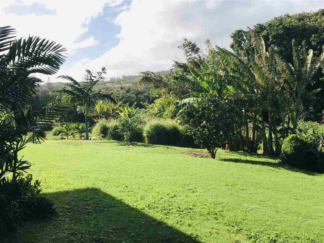 10315  Kamehameha V Hwy Waialua, Molokai home - photo 21 of 27