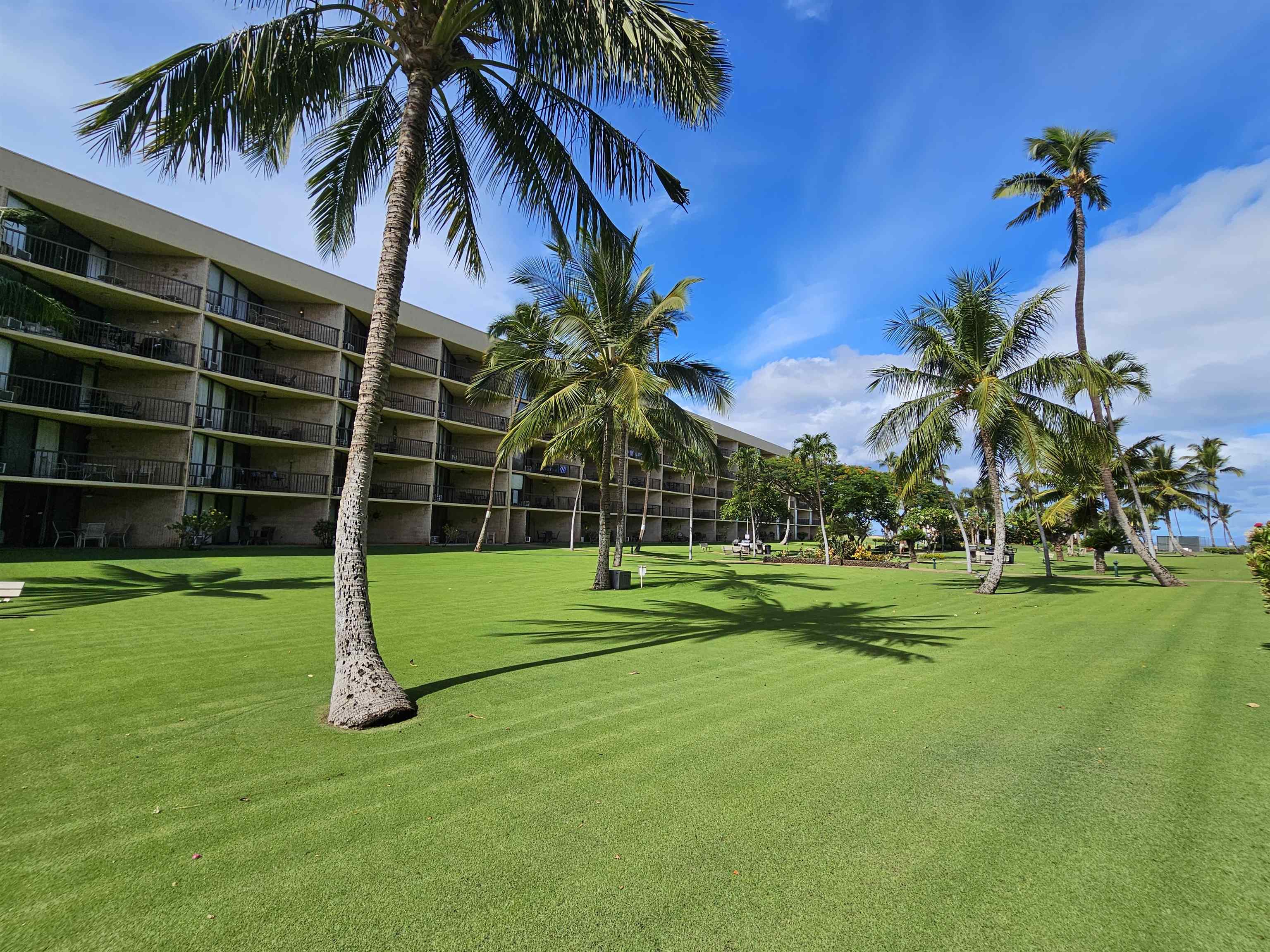 Maui Sunset condo # A103, Kihei, Hawaii - photo 39 of 48