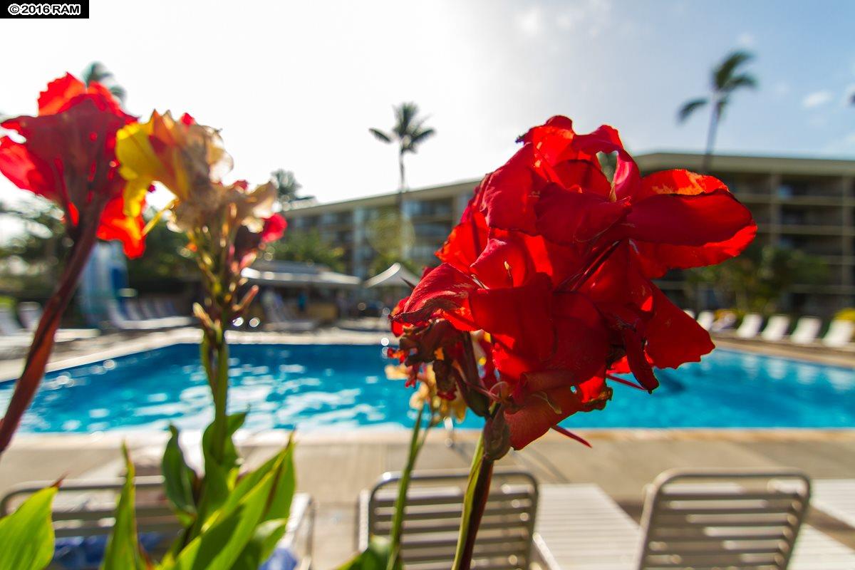Maui Sunset condo # A109, Kihei, Hawaii - photo 20 of 30