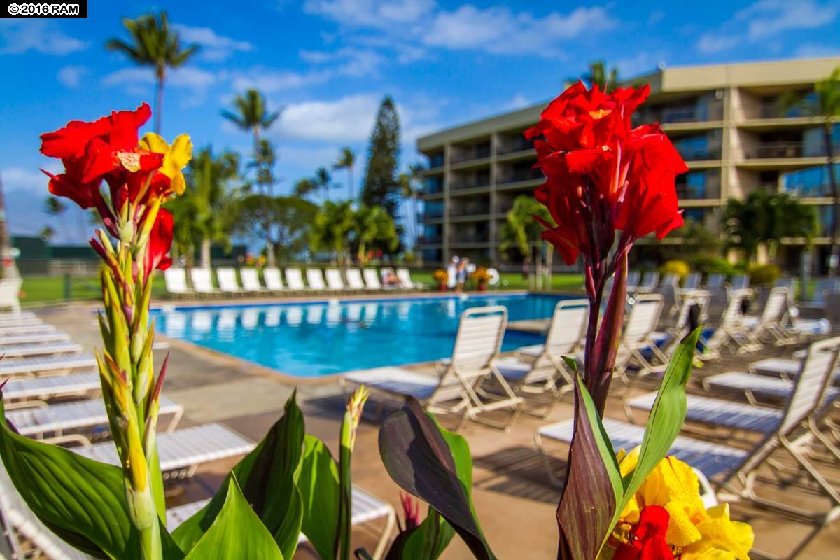 Maui Sunset condo # A109, Kihei, Hawaii - photo 22 of 30