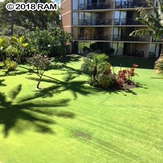 Maui Sunset condo # A203, Kihei, Hawaii - photo 11 of 13
