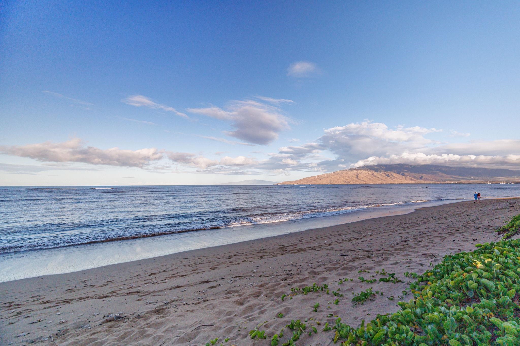 Maui Sunset condo # A305, Kihei, Hawaii - photo 24 of 28