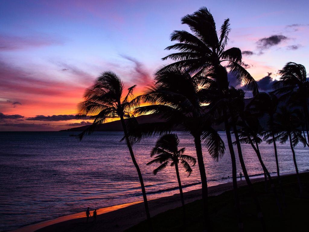 Maui Sunset condo # A403, Kihei, Hawaii - photo 17 of 17