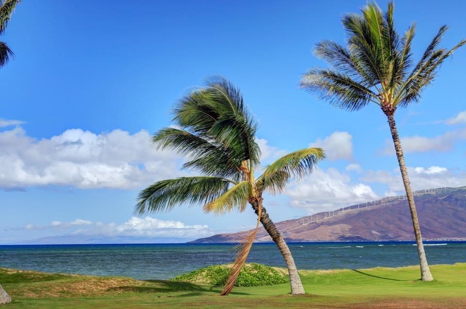 Maui Sunset condo # A410, Kihei, Hawaii - photo 2 of 23