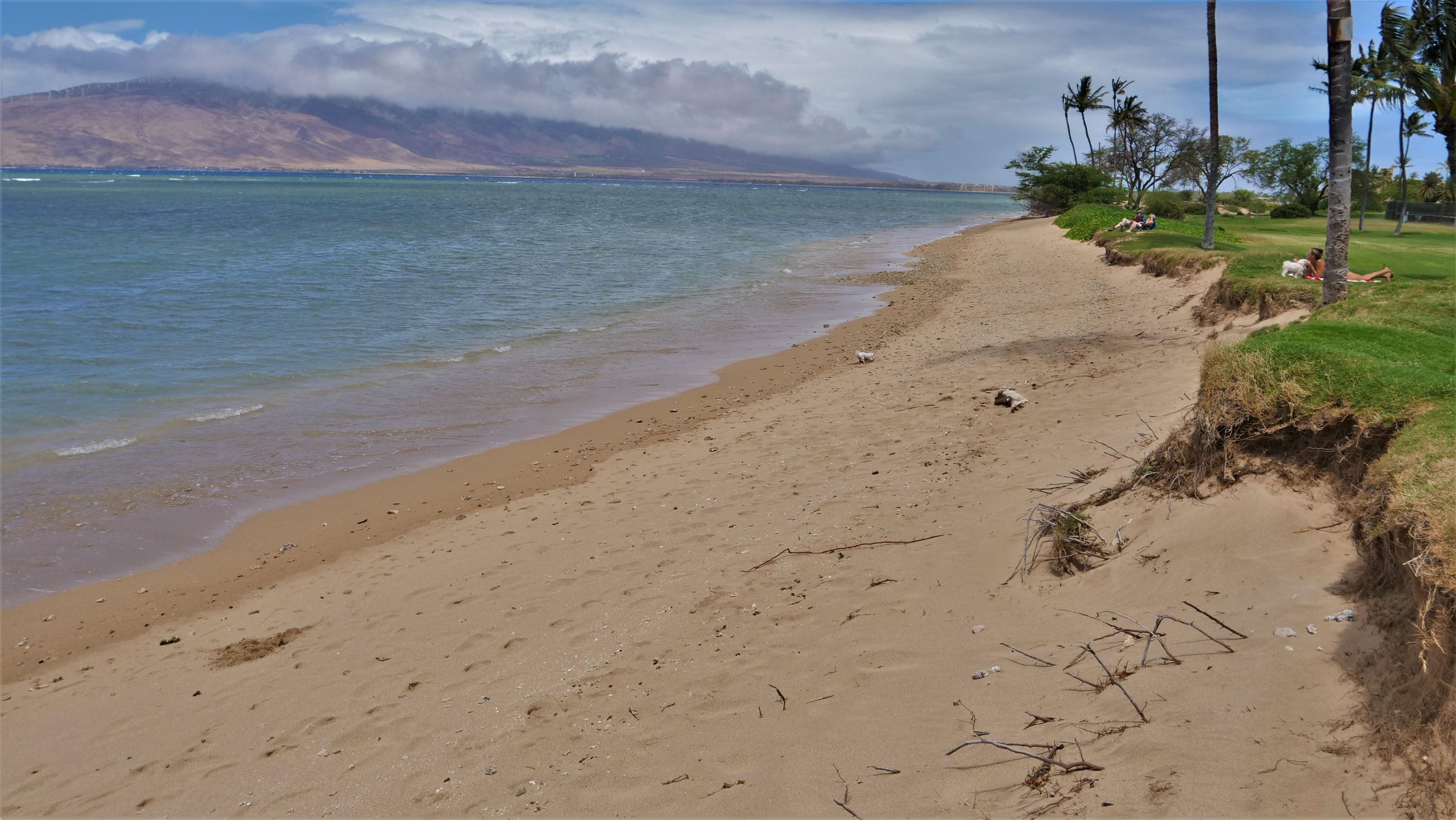 Maui Sunset condo # A504, Kihei, Hawaii - photo 8 of 30