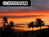 Maui Sunset condo # A506, Kihei, Hawaii - photo 13 of 13