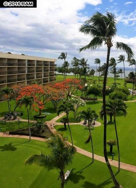 Maui Sunset condo # A506, Kihei, Hawaii - photo 9 of 13