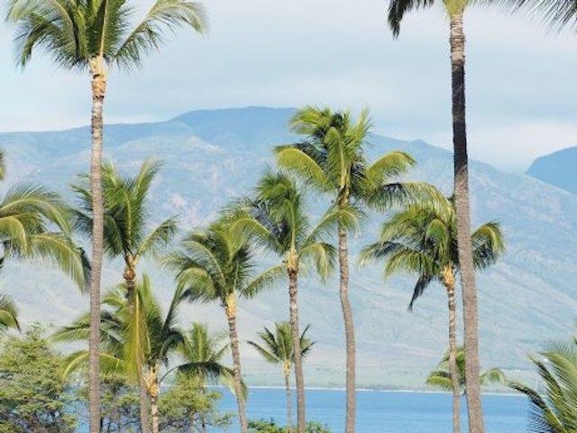 Maui Sunset condo # A-513, Kihei, Hawaii - photo 20 of 30
