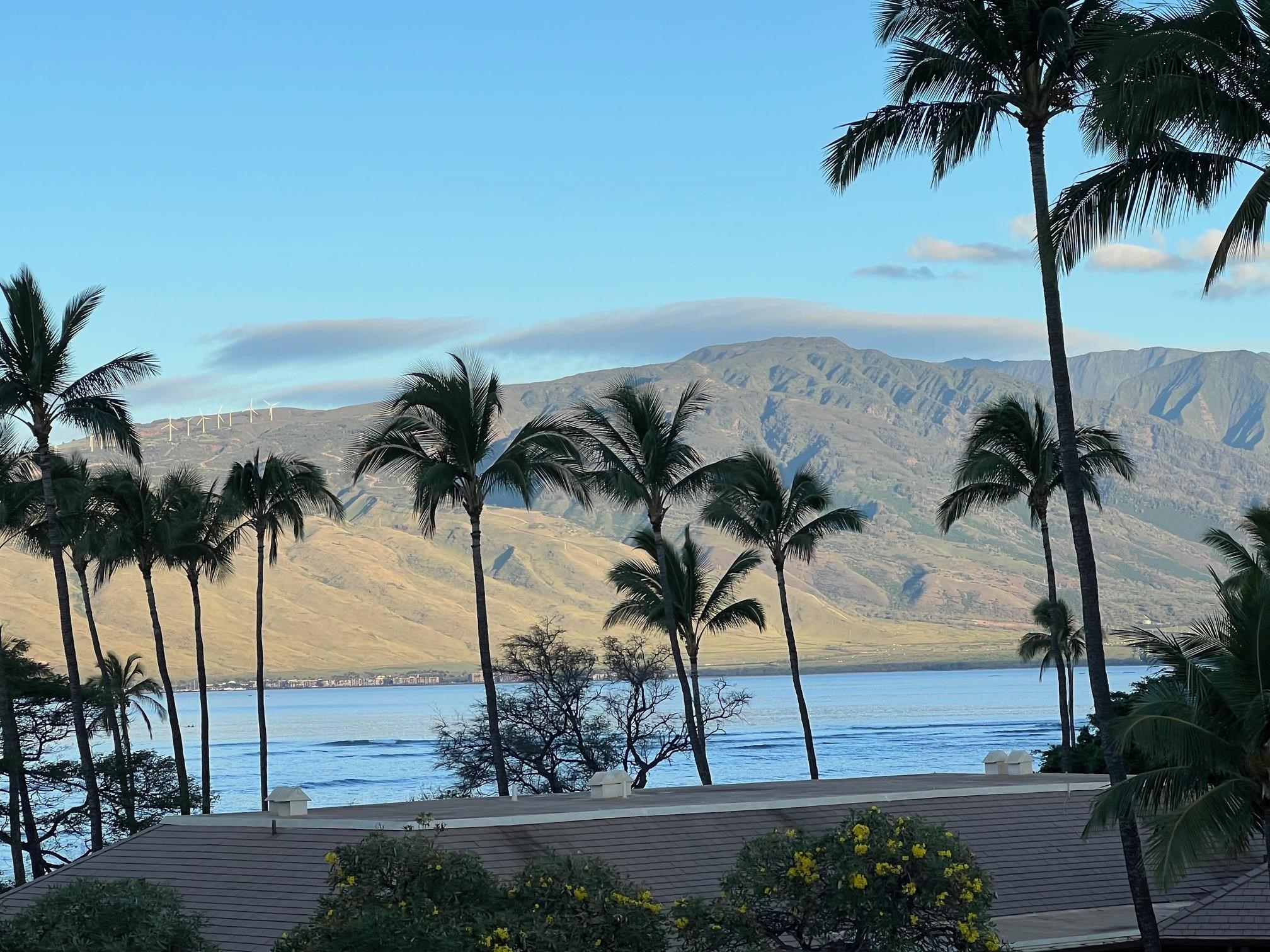 Maui Sunset condo # A514, Kihei, Hawaii - photo 18 of 41