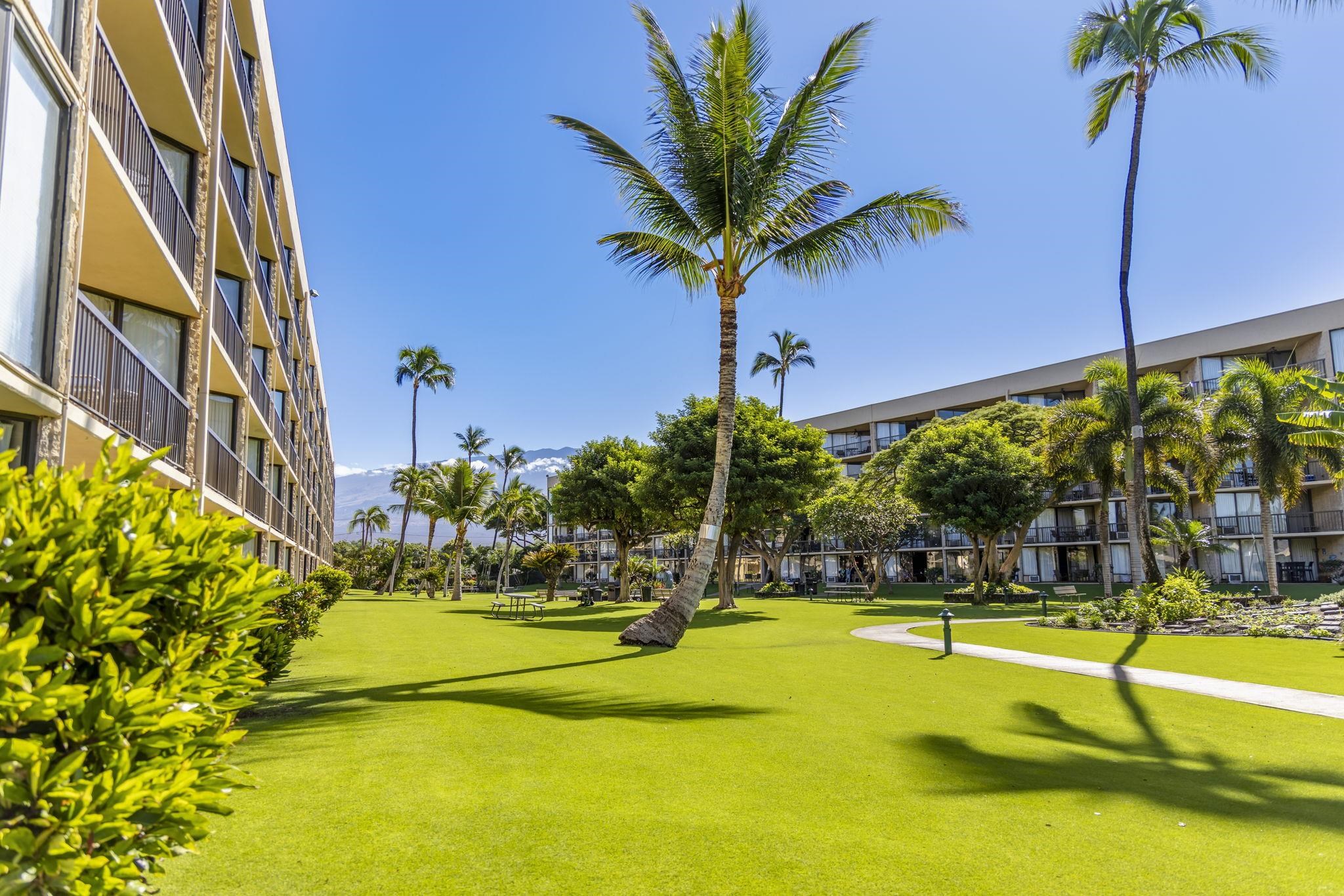Maui Sunset condo # A514, Kihei, Hawaii - photo 31 of 41