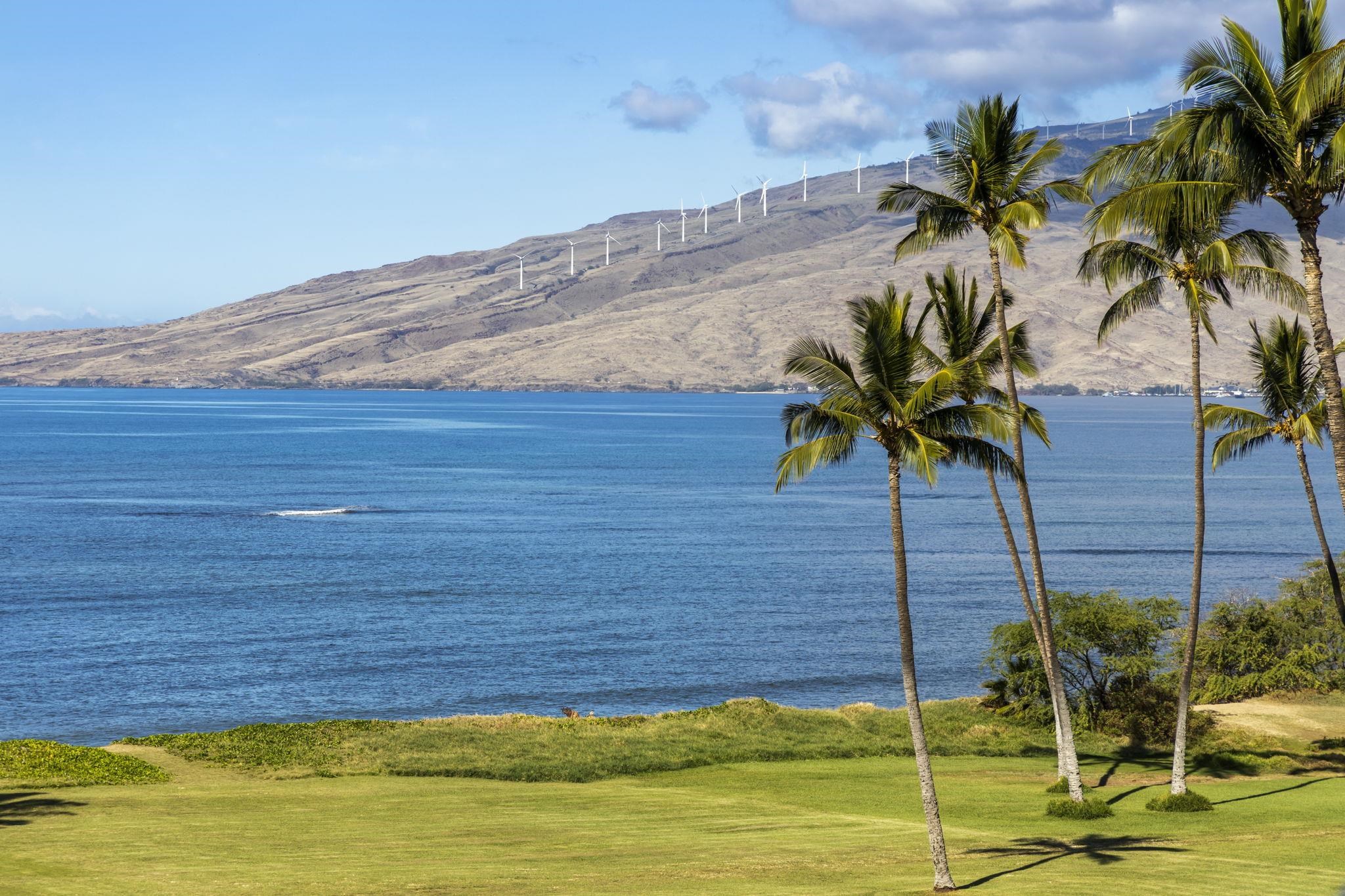Maui Sunset condo # A514, Kihei, Hawaii - photo 34 of 38