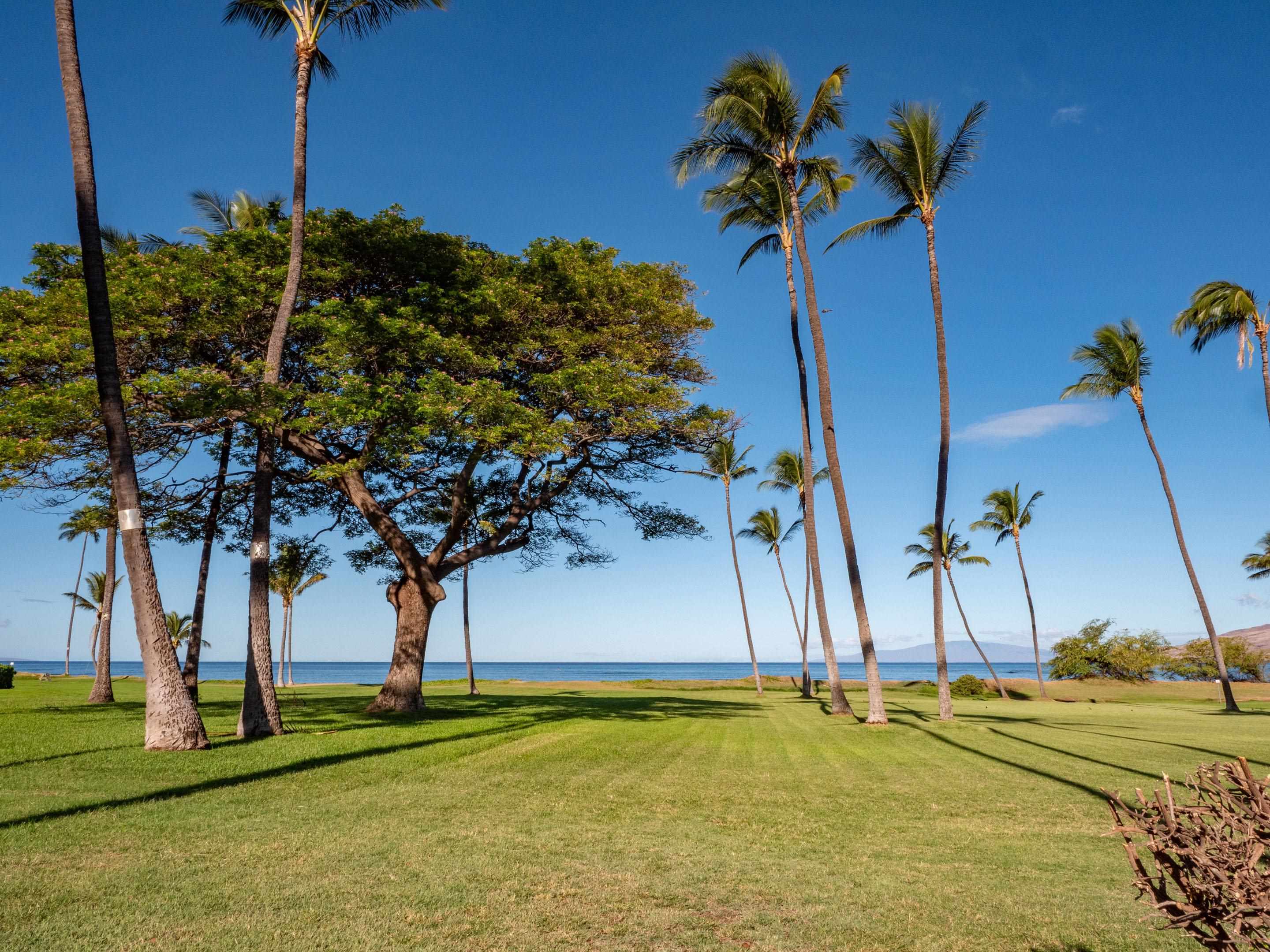 Maui Sunset condo # B107, Kihei, Hawaii - photo 18 of 31