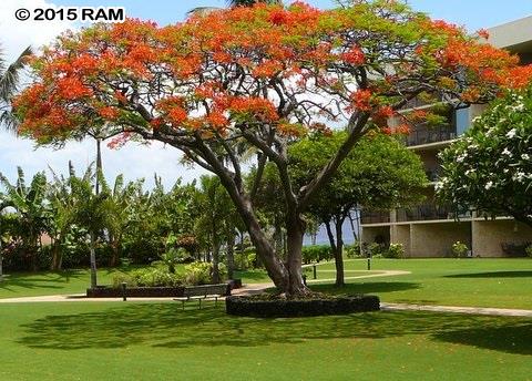 Maui Sunset condo # B403, Kihei, Hawaii - photo 14 of 15