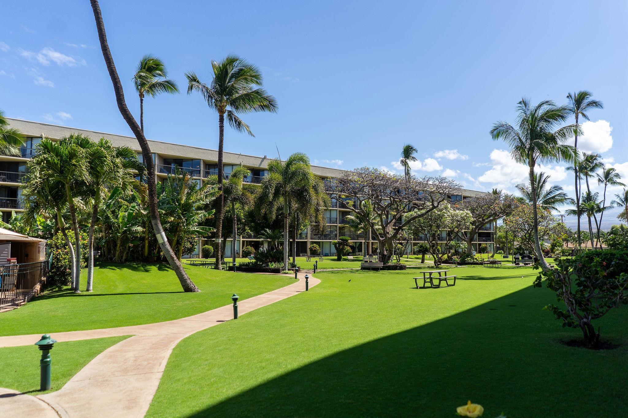 Maui Sunset condo # B420, Kihei, Hawaii - photo 30 of 48