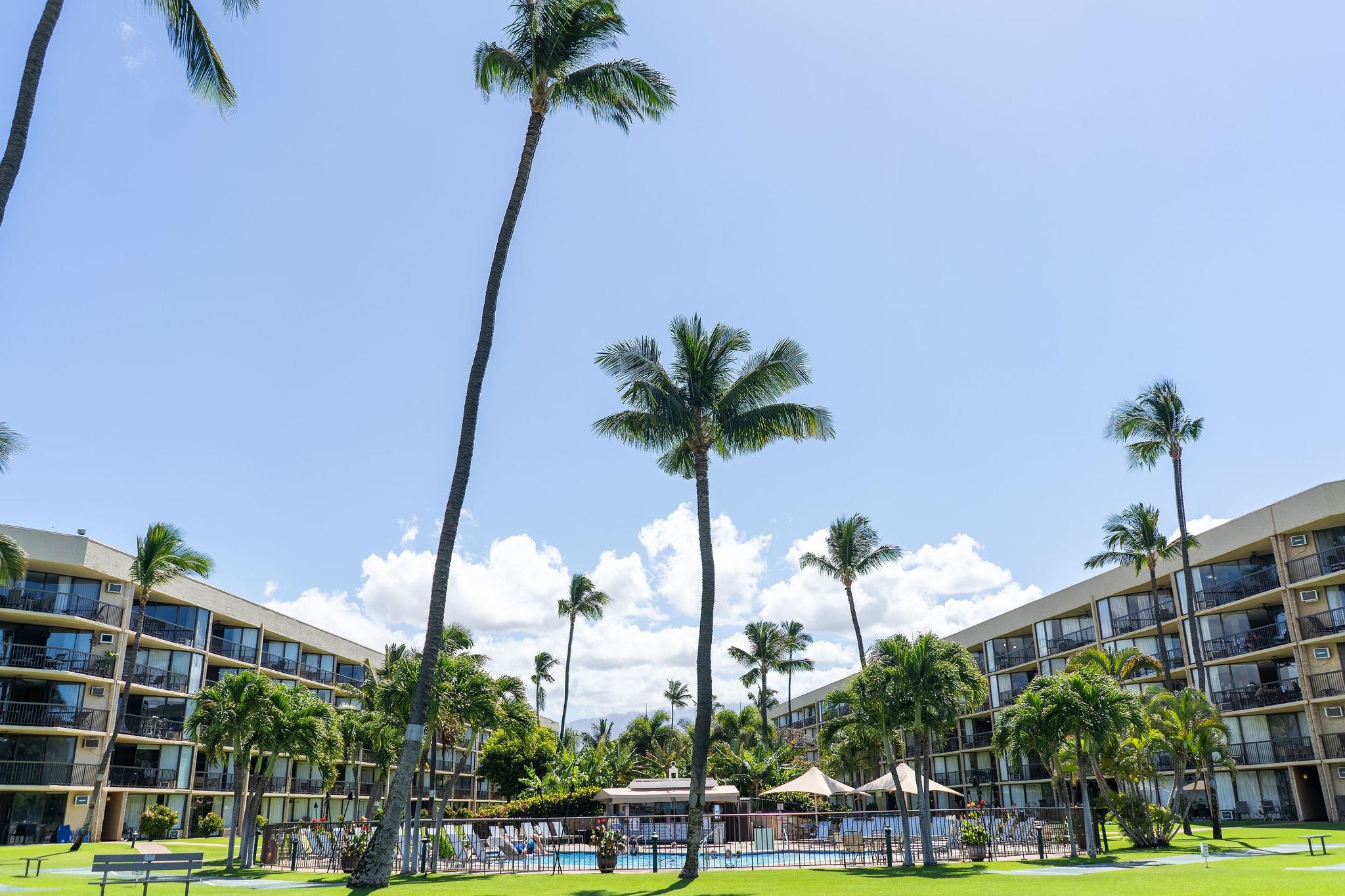 Maui Sunset condo # B420, Kihei, Hawaii - photo 31 of 48