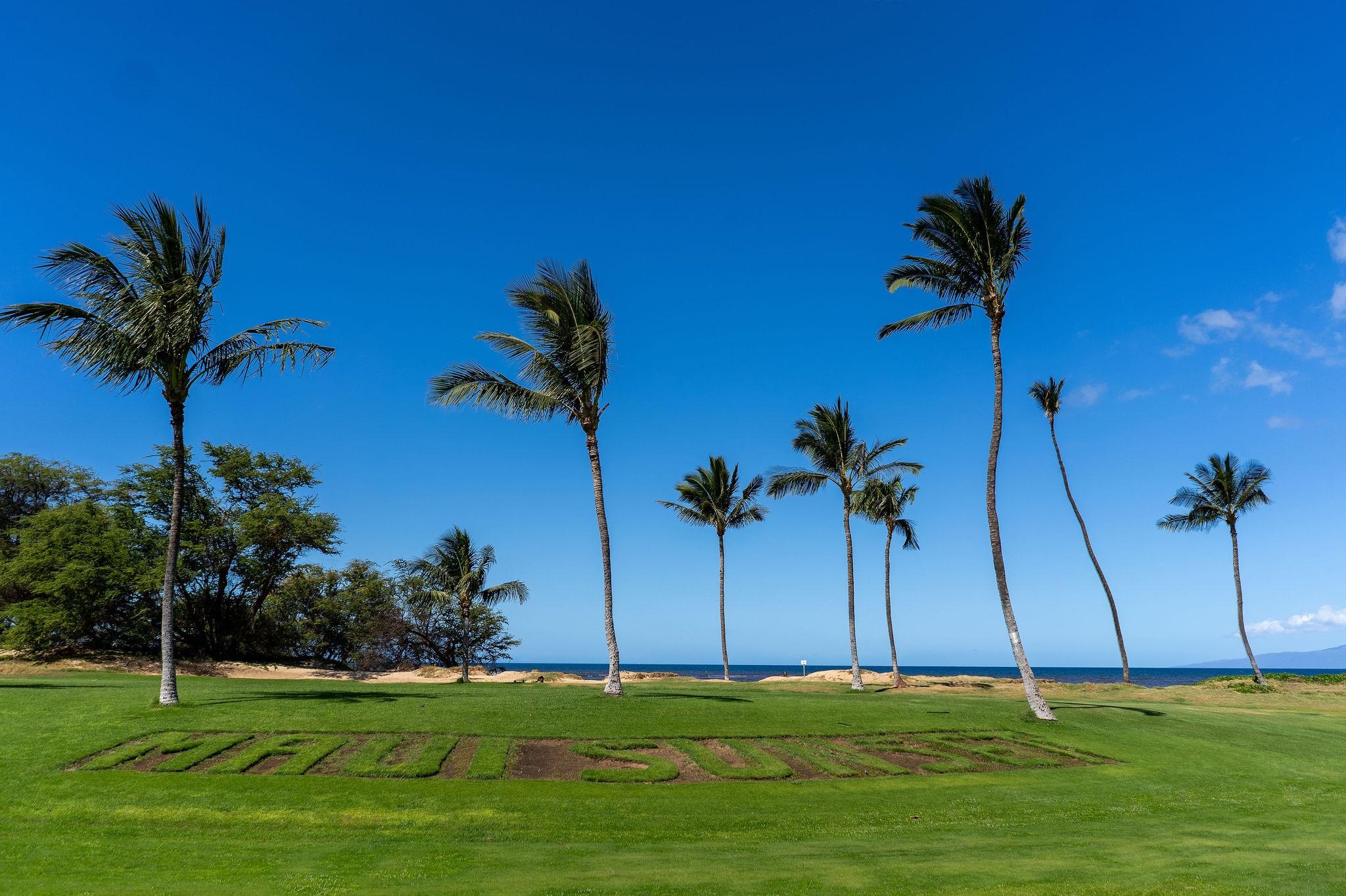 Maui Sunset condo # B420, Kihei, Hawaii - photo 33 of 48