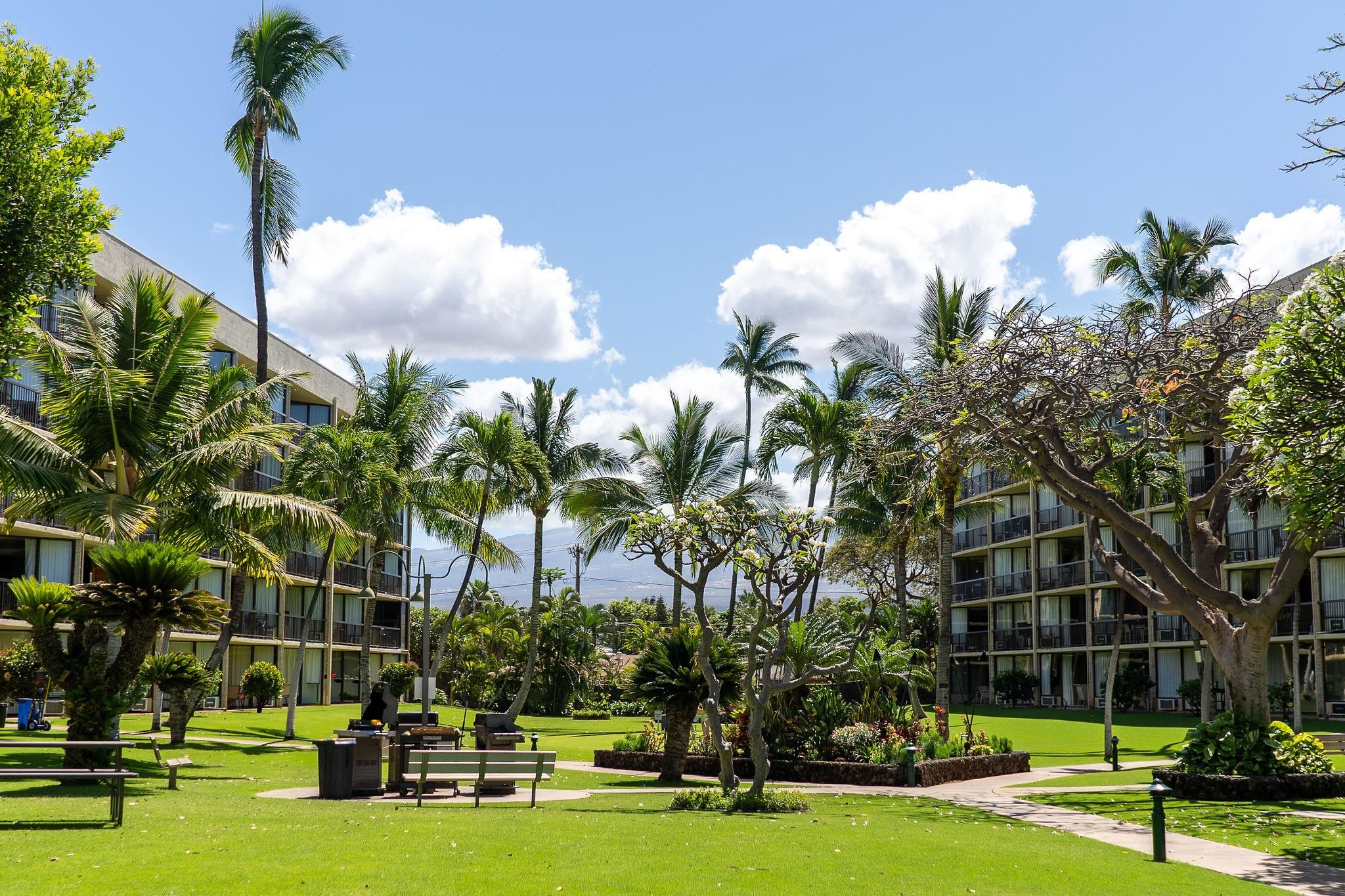 Maui Sunset condo # B420, Kihei, Hawaii - photo 36 of 48