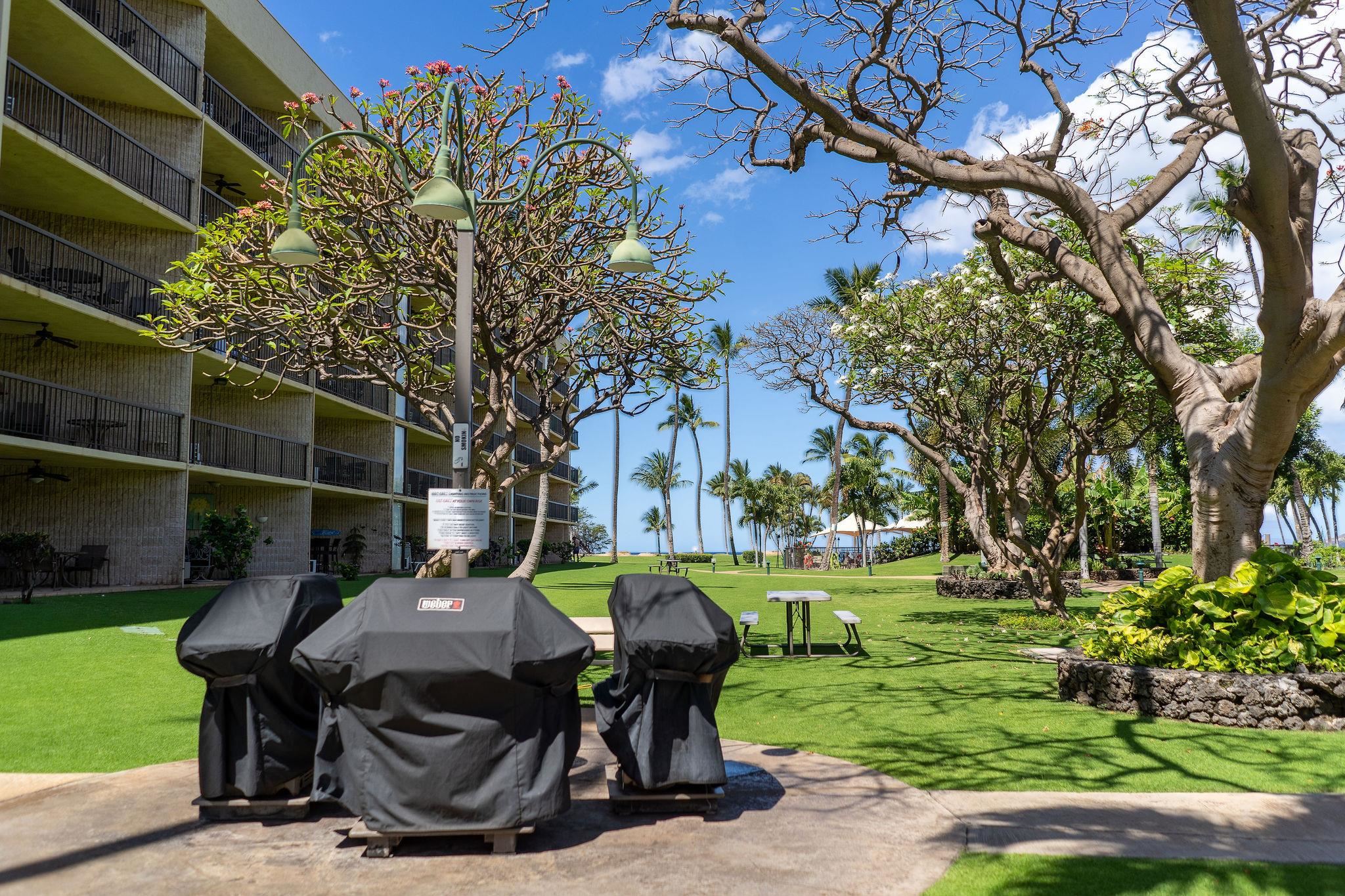 Maui Sunset condo # B420, Kihei, Hawaii - photo 45 of 48