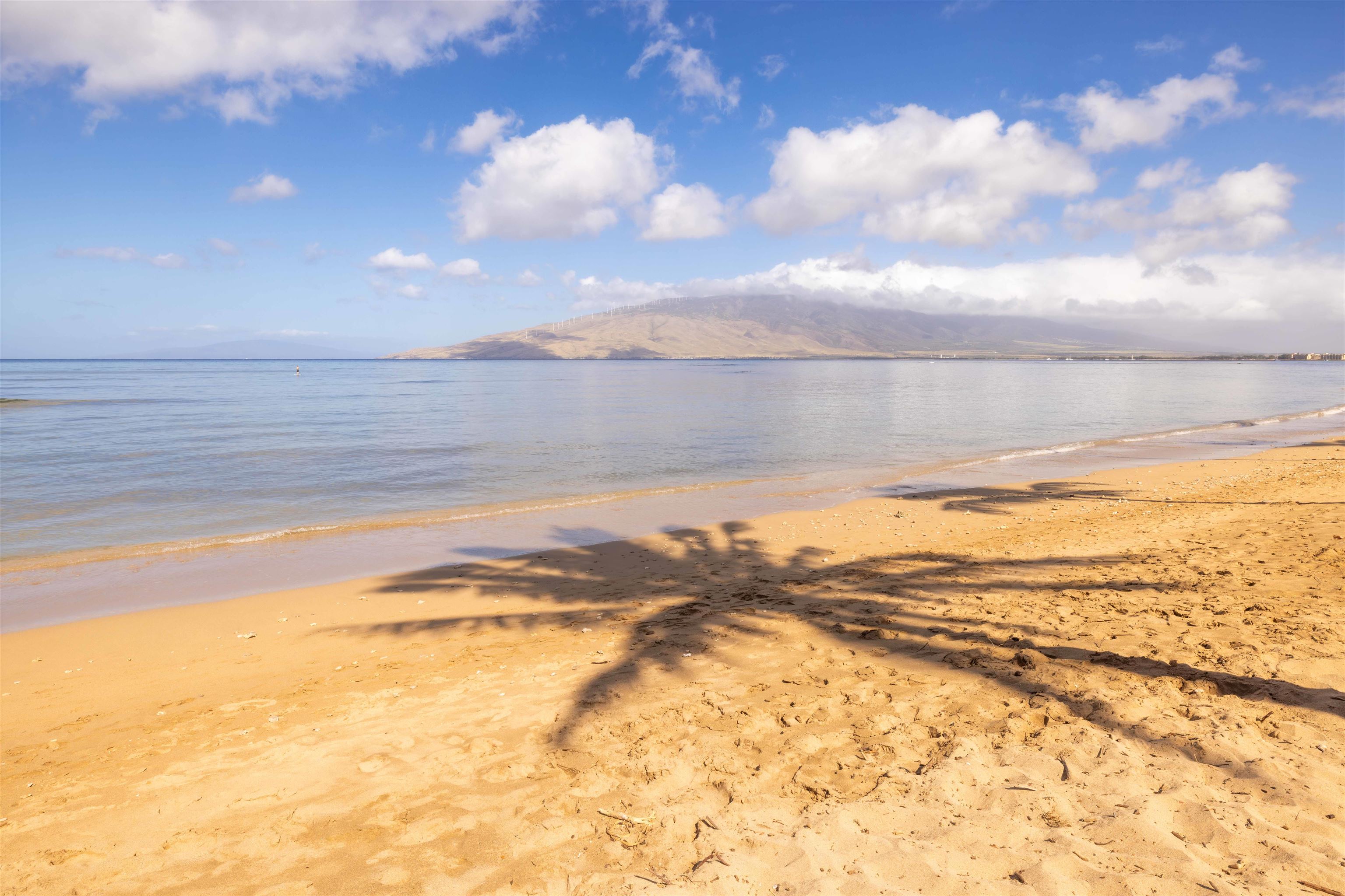 Maui Sunset condo # B420, Kihei, Hawaii - photo 47 of 48