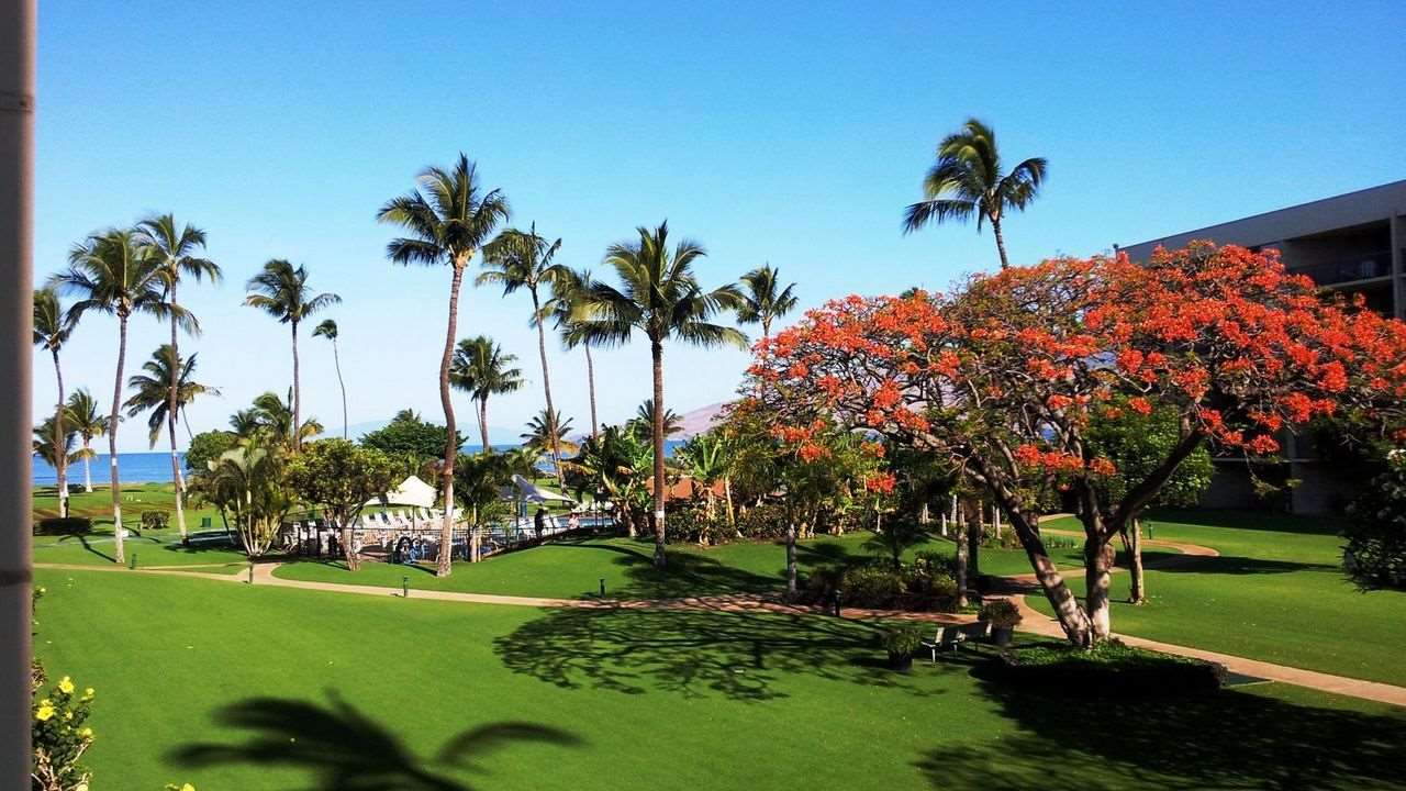 Maui Sunset condo # B506, Kihei, Hawaii - photo 12 of 18