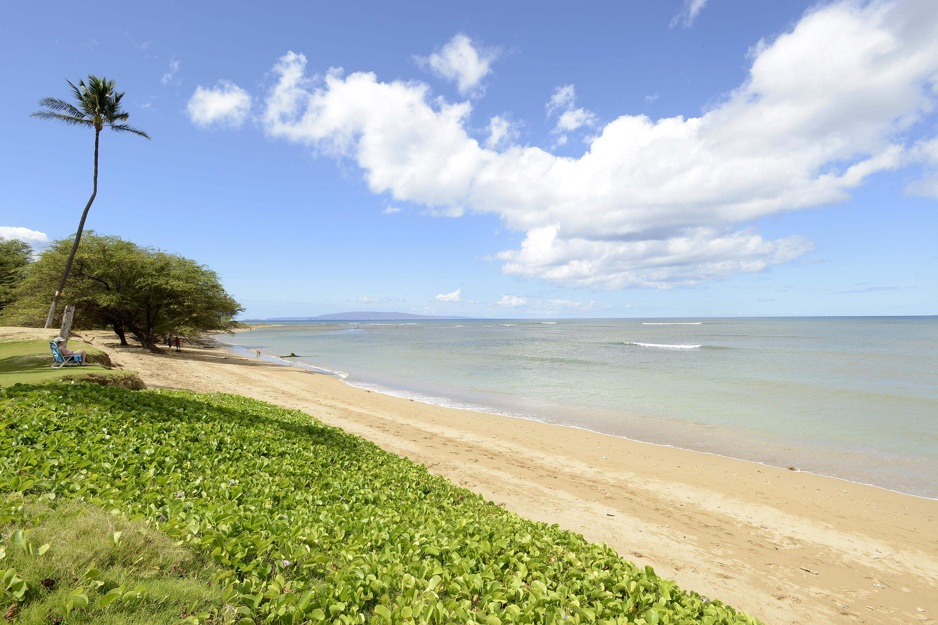 Maui Sunset condo # B516, Kihei, Hawaii - photo 21 of 30
