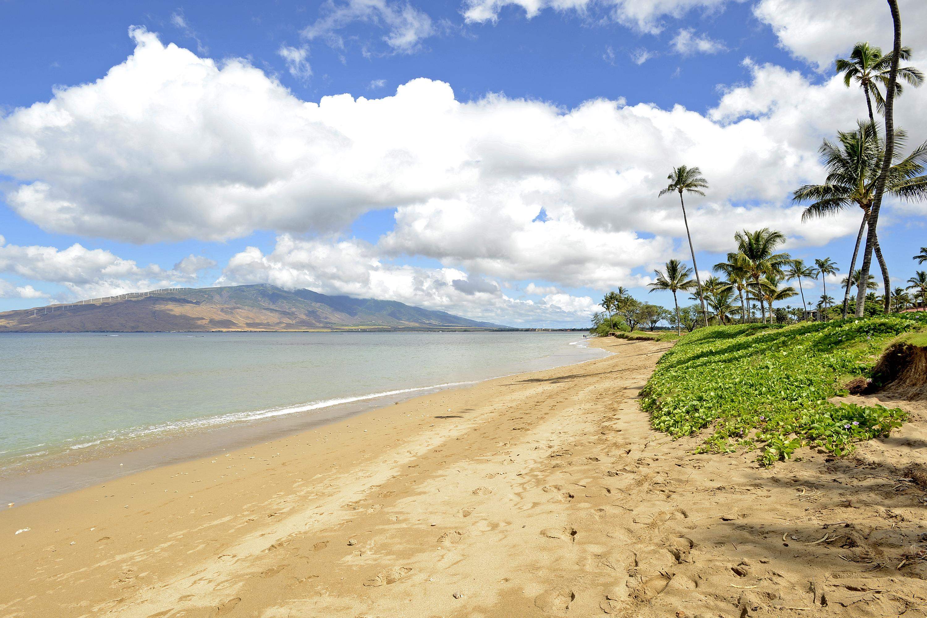 Maui Sunset condo # B516, Kihei, Hawaii - photo 22 of 30