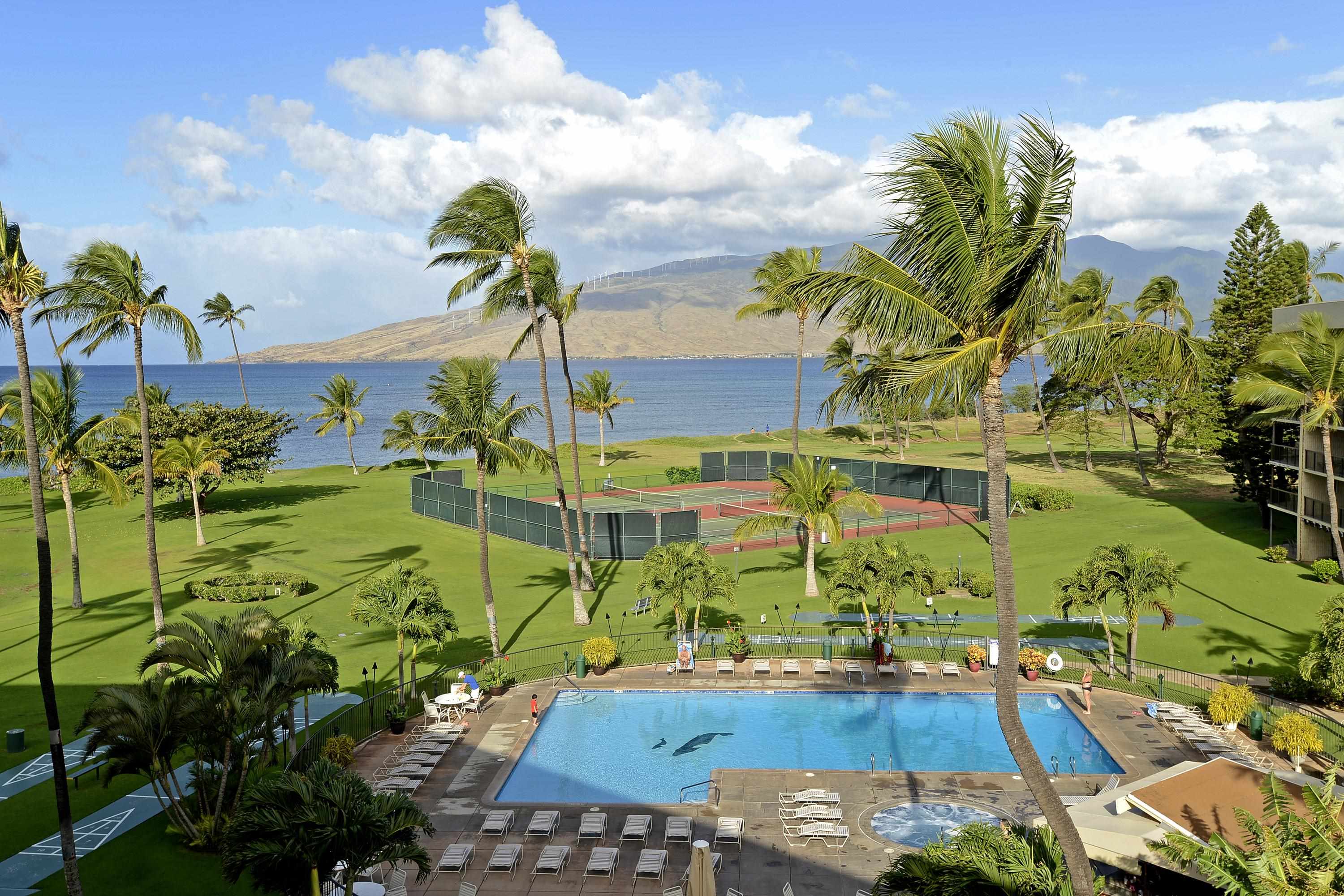 Maui Sunset condo # B516, Kihei, Hawaii - photo 6 of 30
