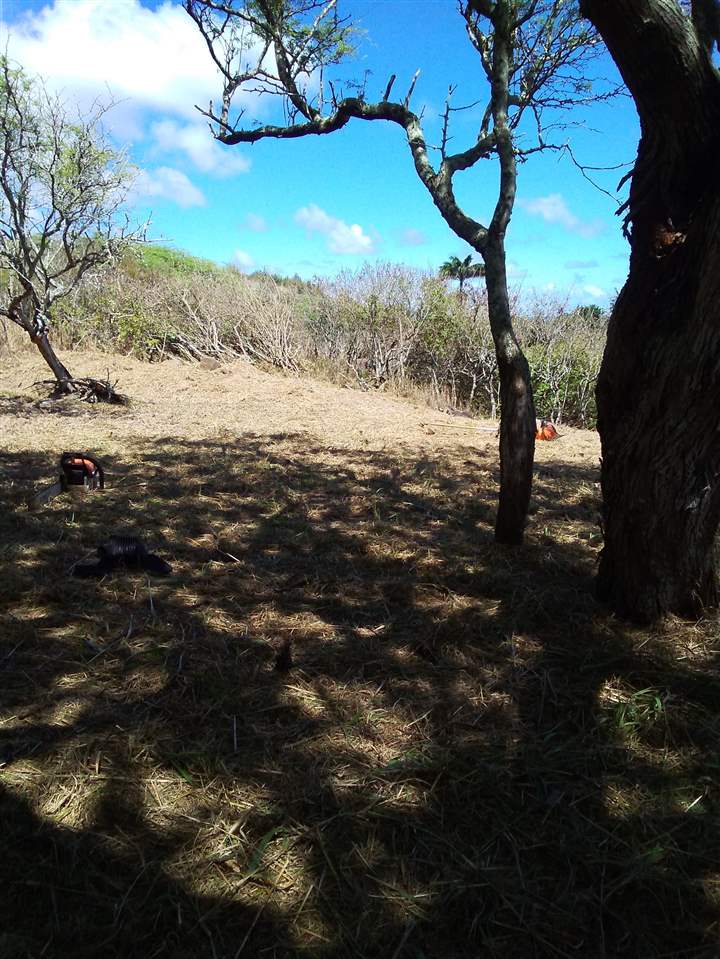 10383 Kamehameha V Hwy C-4 Kaunakakai, Hi vacant land for sale - photo 15 of 16