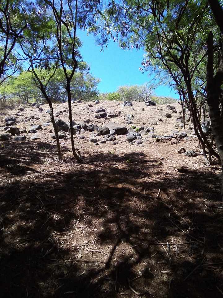 10383 Kamehameha V Hwy C-4 Kaunakakai, Hi vacant land for sale - photo 16 of 16