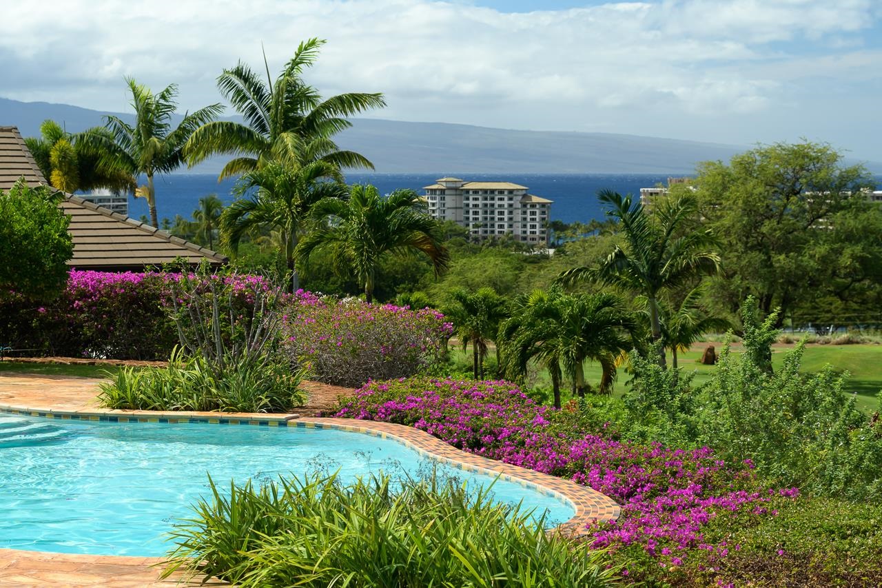 104  Anapuni Loop Kaanapali, Kaanapali home - photo 16 of 45