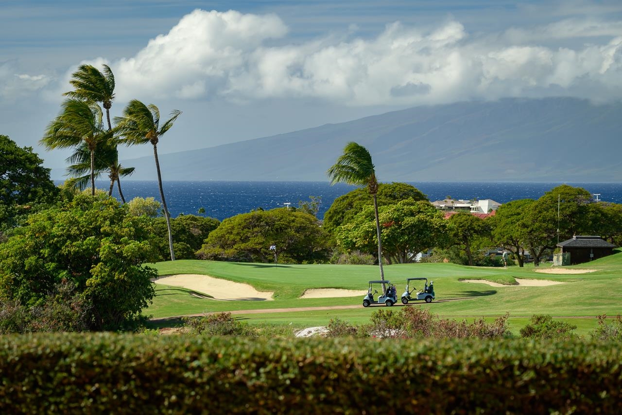 104  Anapuni Loop Kaanapali, Kaanapali home - photo 18 of 45