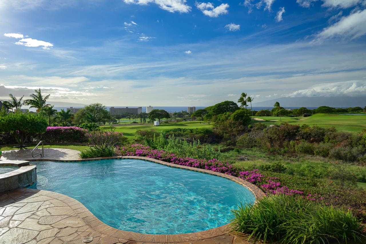 104  Anapuni Loop Kaanapali, Kaanapali home - photo 42 of 45