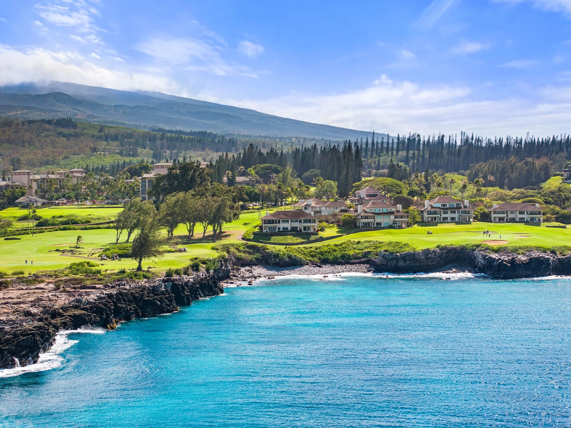 Kapalua Ironwoods condo # 104, Lahaina, Hawaii - photo 39 of 50