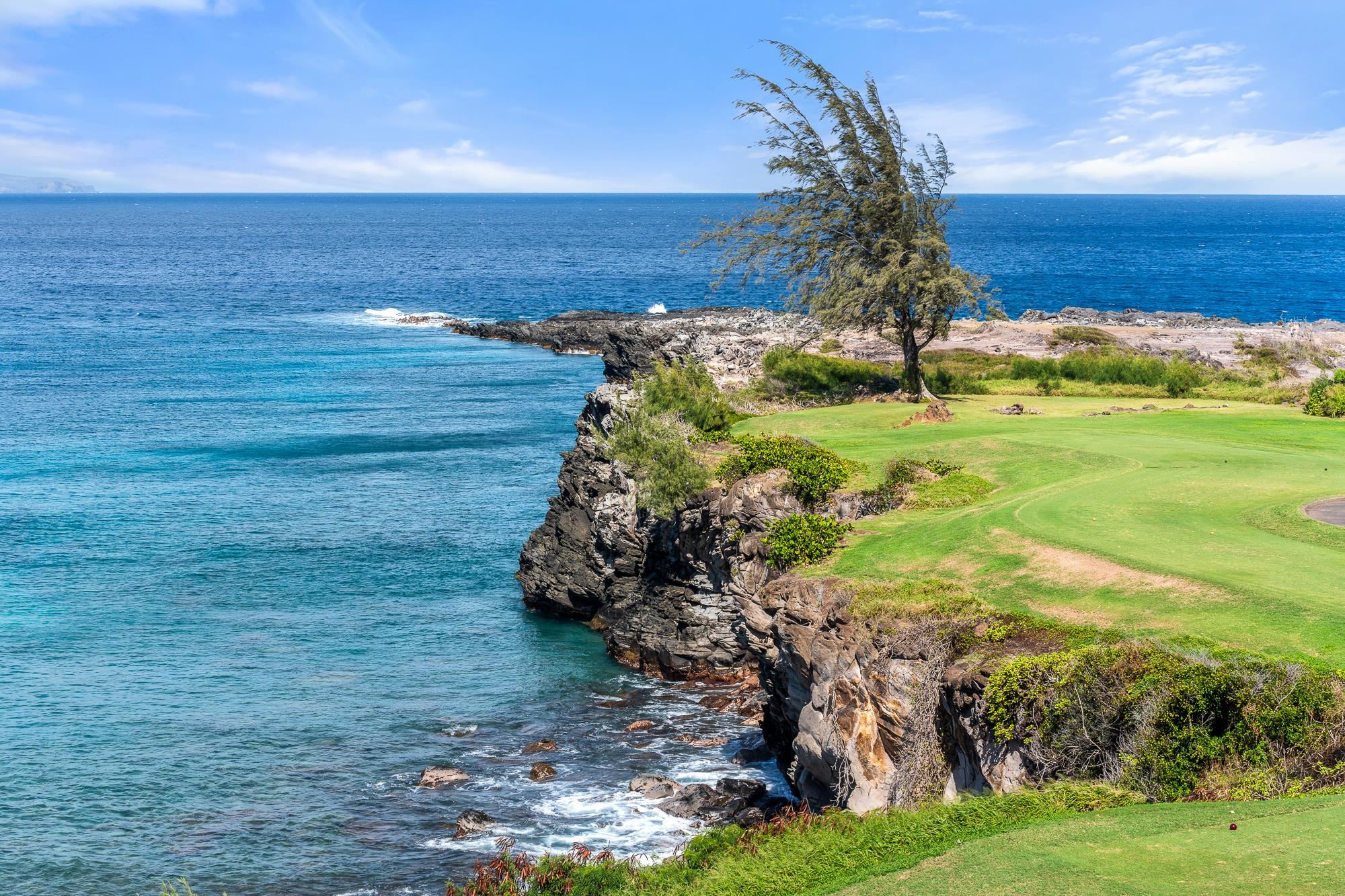 Kapalua Ironwoods condo # 104, Lahaina, Hawaii - photo 40 of 50