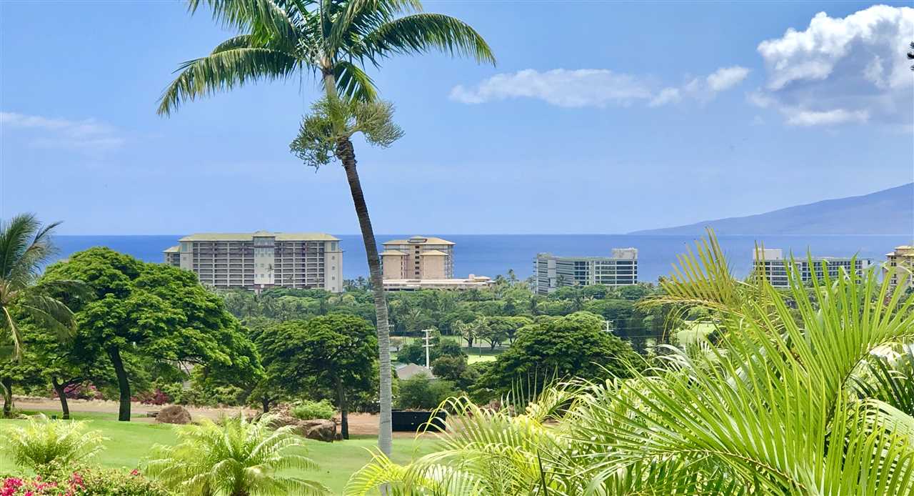 Vintage at Kaanapali condo # 104, Lahaina, Hawaii - photo 9 of 28