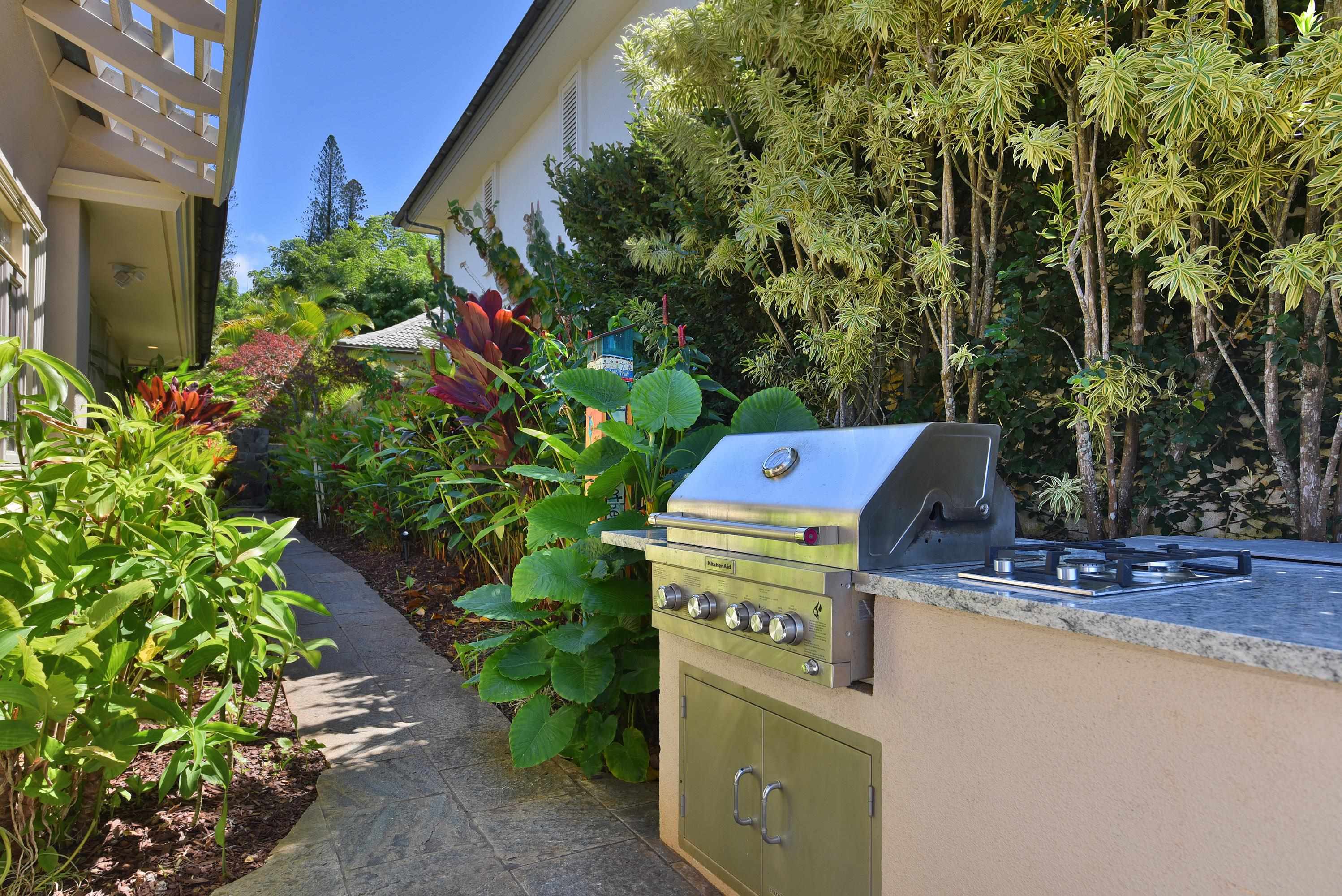 104  Woodrose Pl Kapalua, Kapalua home - photo 29 of 42