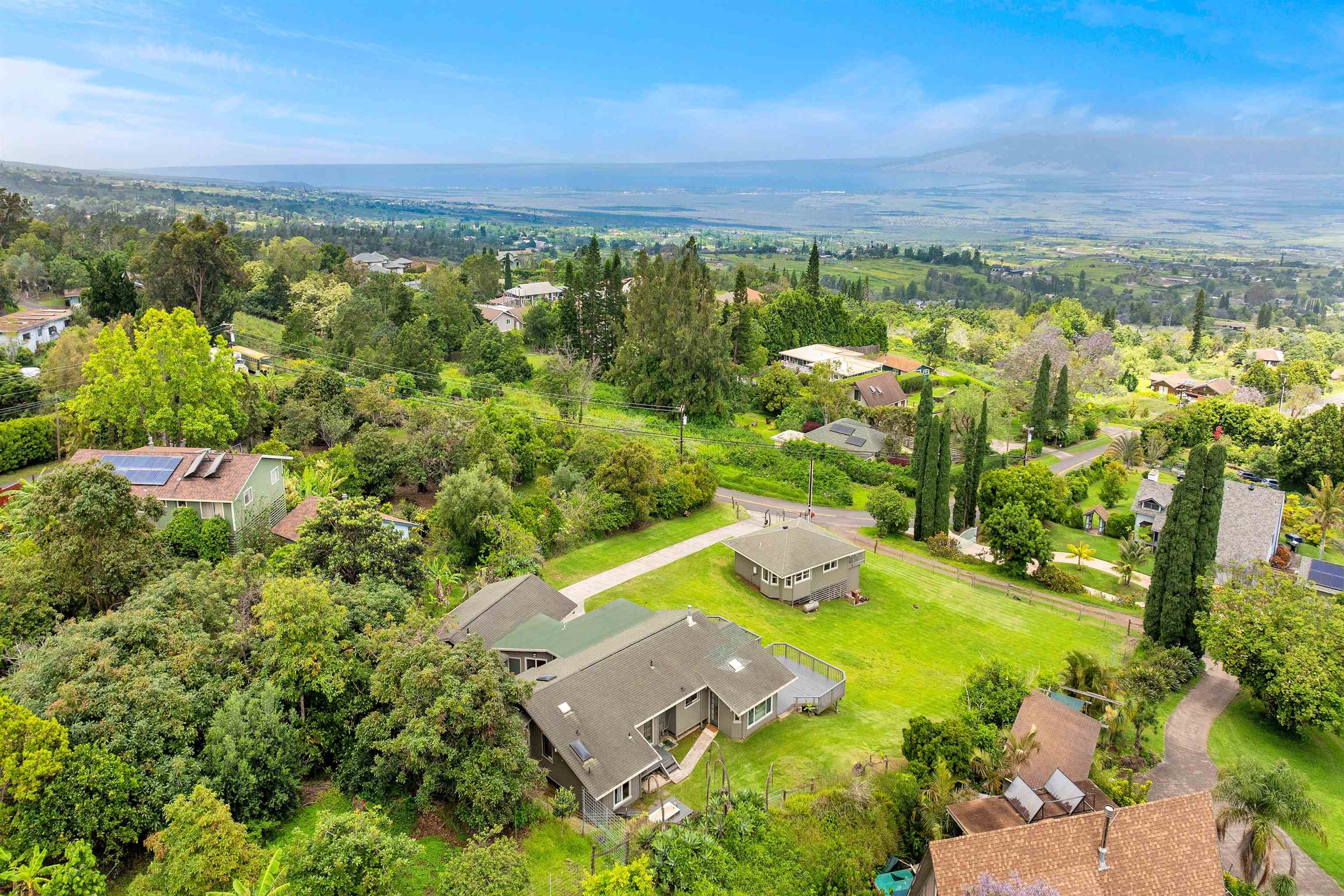 1041  Lower Kimo Rd , Kula/Ulupalakua/Kanaio home - photo 46 of 50
