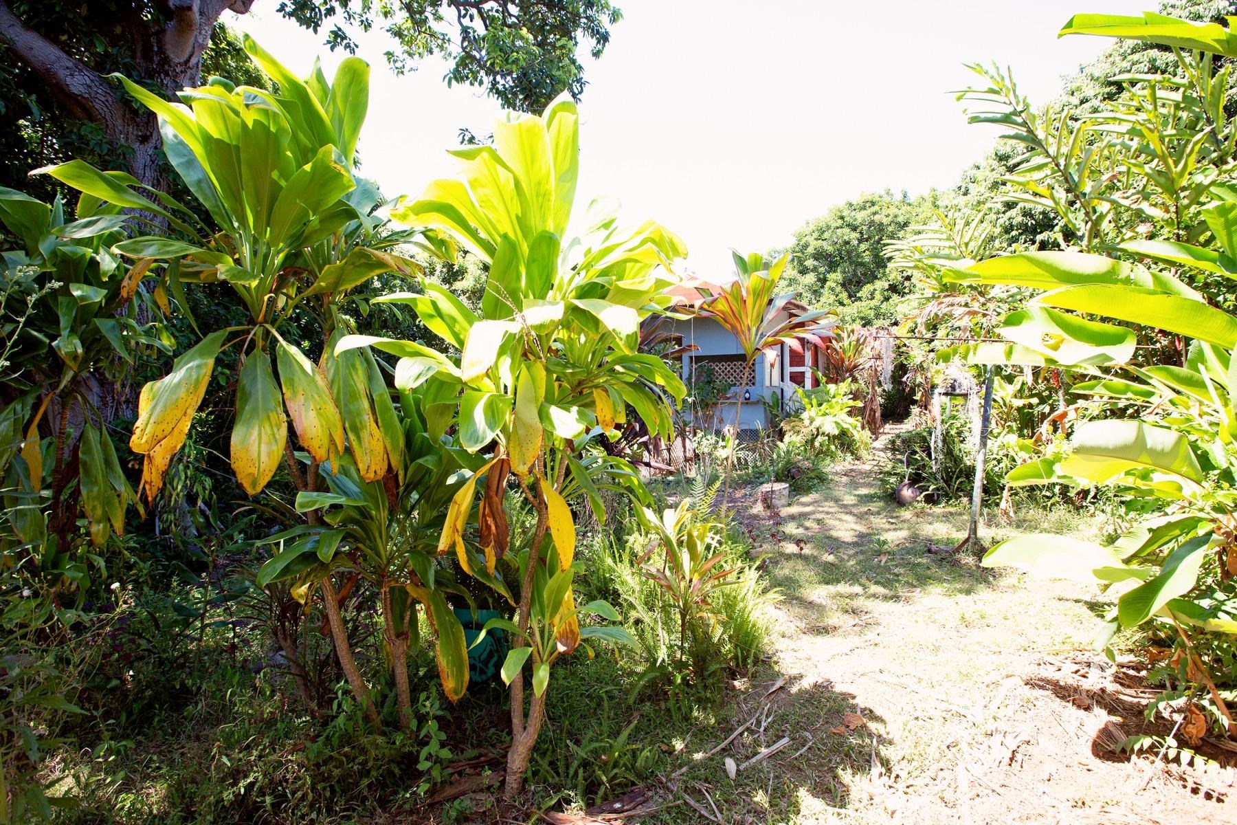 1042  Makawao Ave Near Makawao Ranch Acres, Makawao/Olinda/Haliimaile home - photo 3 of 6