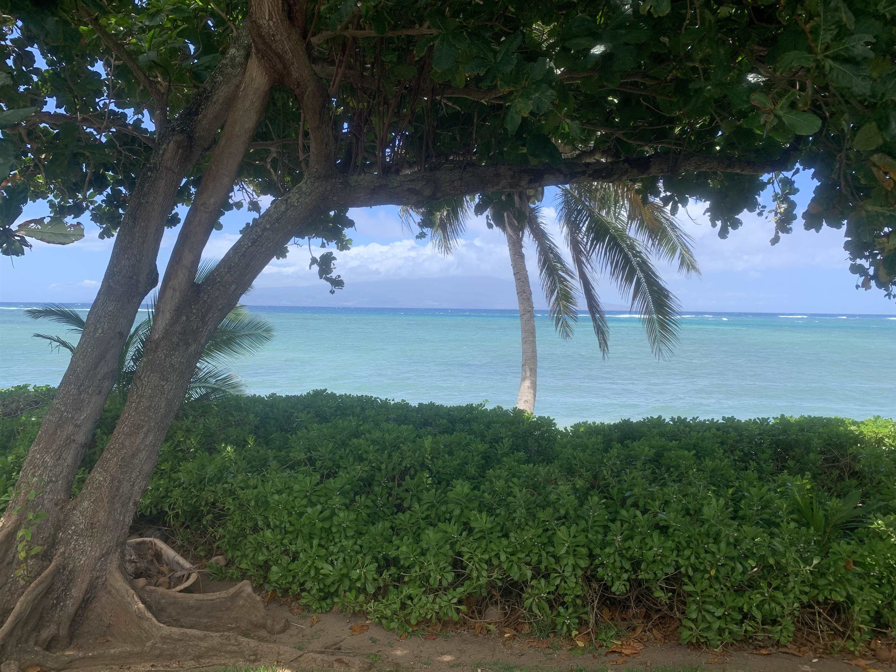 10464  Kamehameha V Hwy Waialua, Molokai home - photo 3 of 10